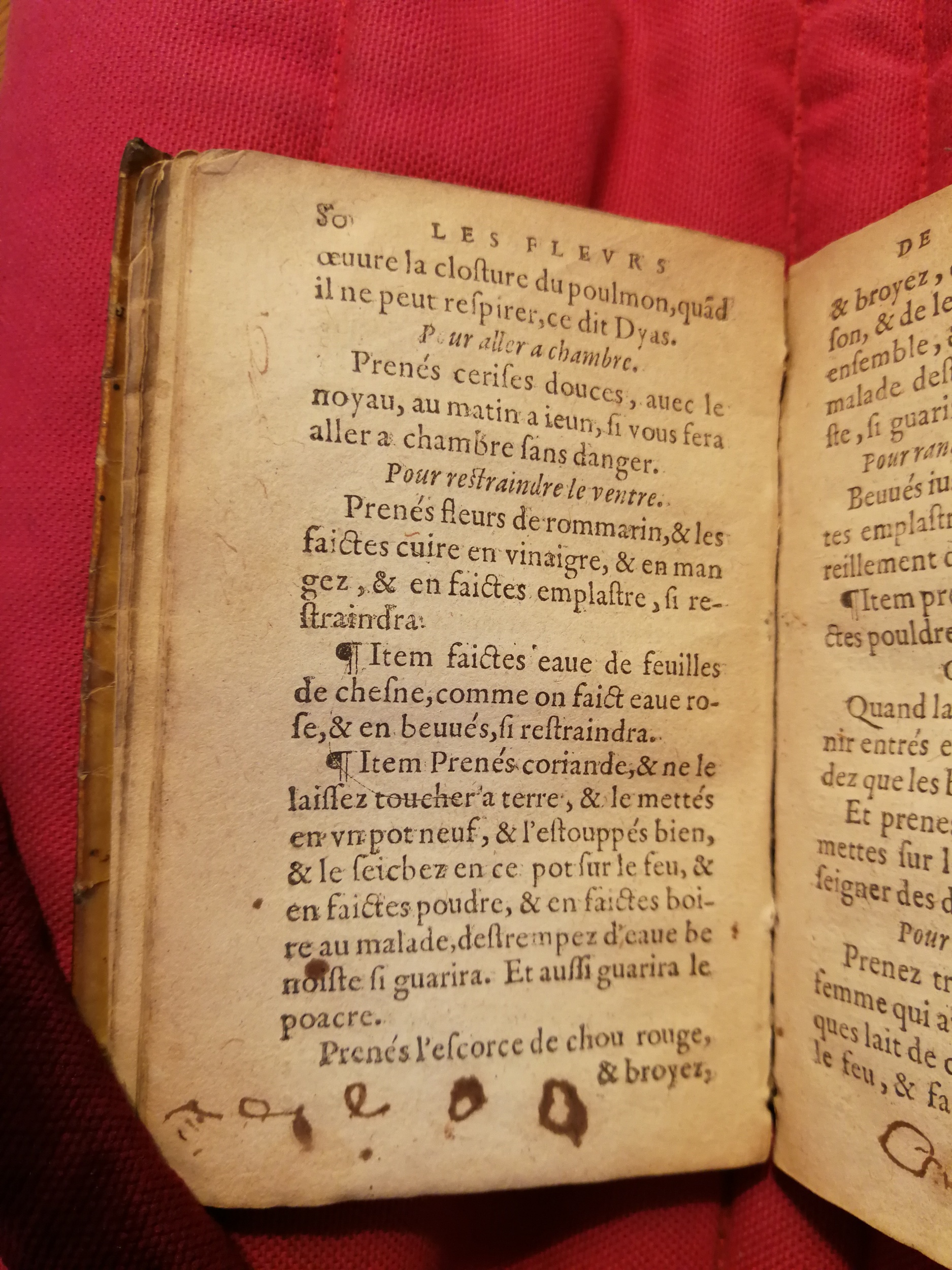 1586 - Benoît Rigaud - Trésor des fleurs et secrets de médecine - Sainte-Geneviève 1586 - Benoît Rigaud - Trésor des fleurs et secrets de médecine - Sainte-Geneviève