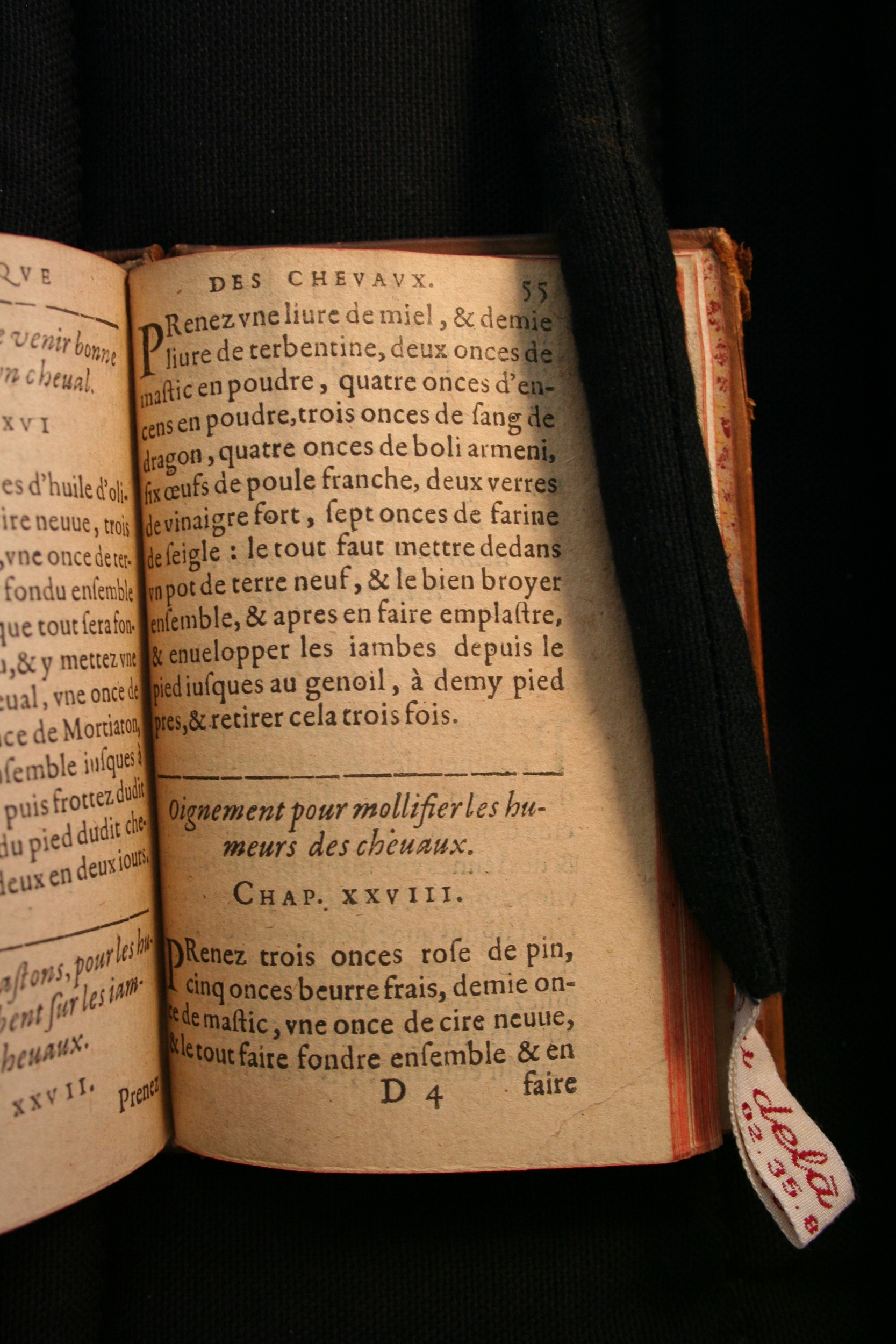 1591 - Pierre Chastaing et Benoît Rigaud - Trésor des bêtes chevalines - BM Bordeaux