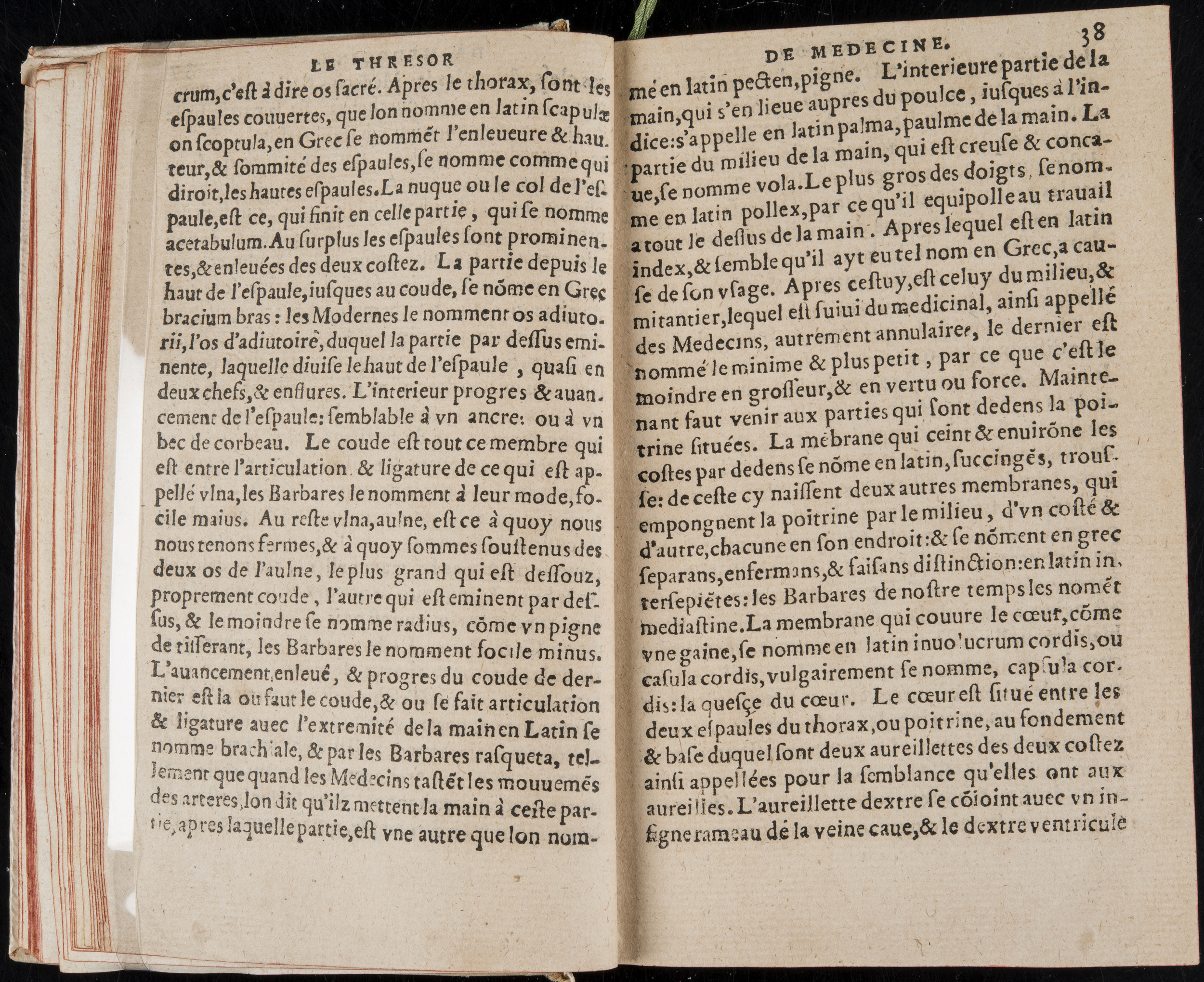 1560 - Nicolas Pelletier - Trésor de médecine - BM Poitiers
