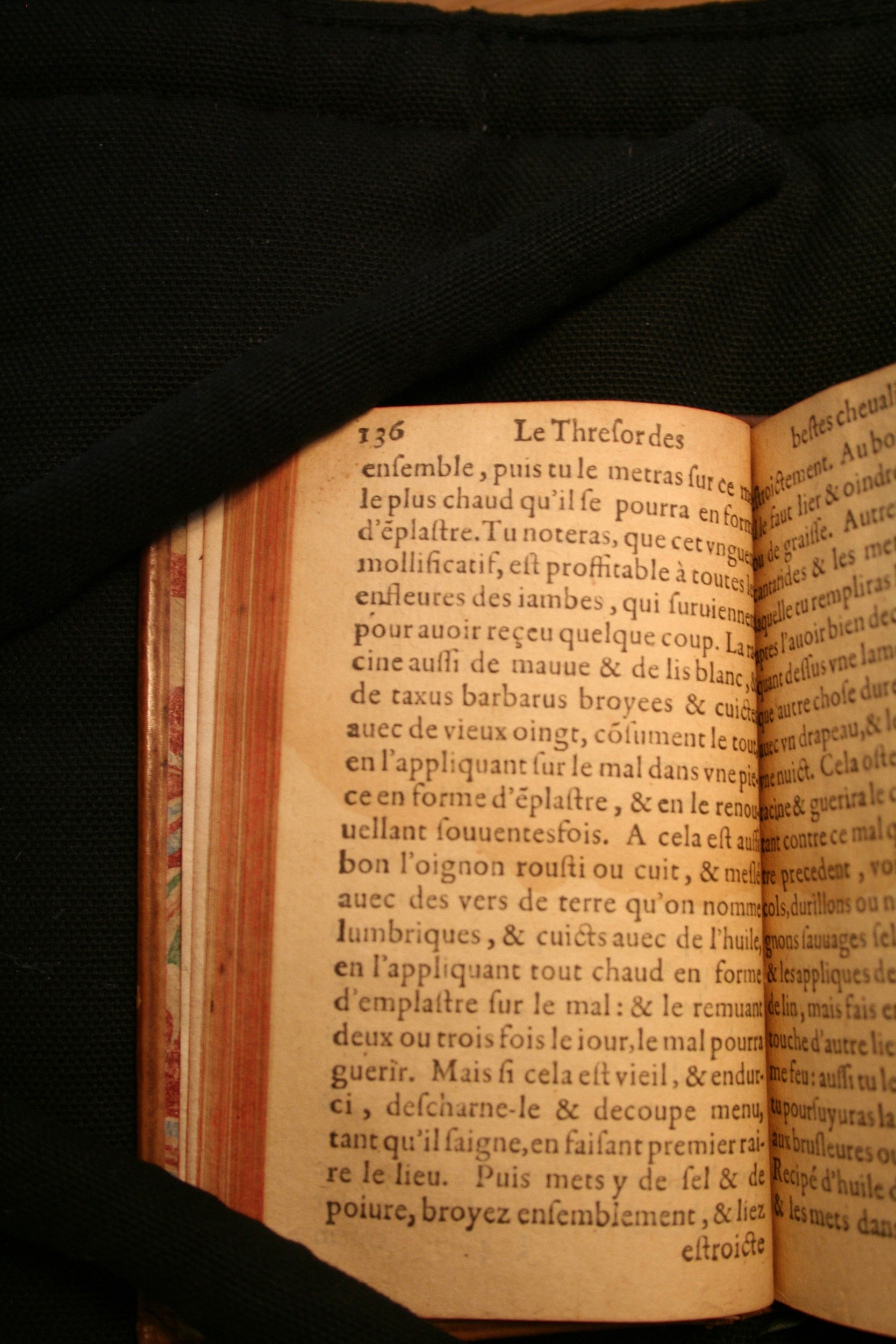 1591 - Pierre Chastaing et Benoît Rigaud - Trésor des bêtes chevalines - BM Bordeaux