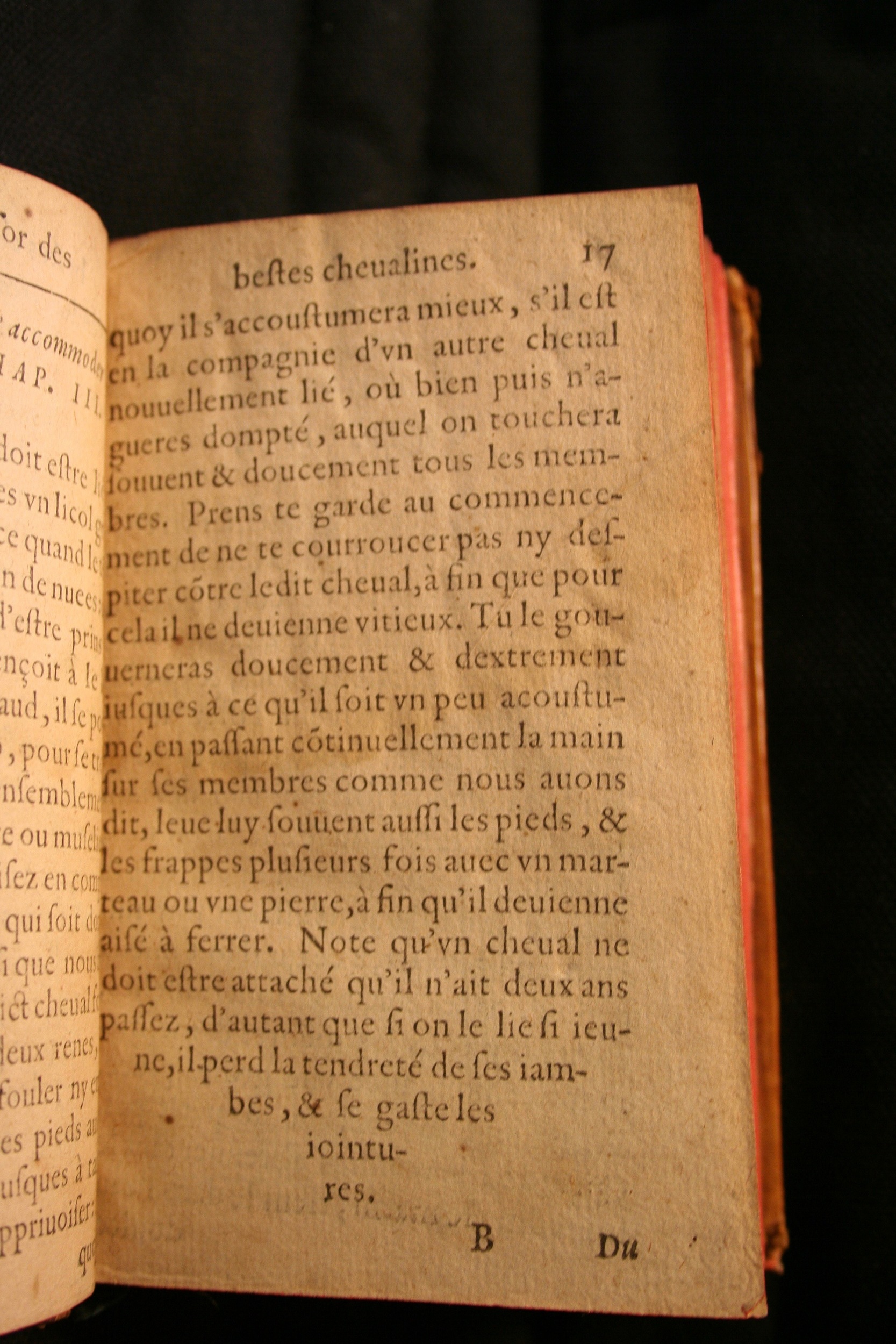 1591 - Pierre Chastaing et Benoît Rigaud - Trésor des bêtes chevalines - BM Bordeaux 1591 - Pierre Chastaing et Benoît Rigaud - Trésor des bêtes chevalines - BM Bordeaux
