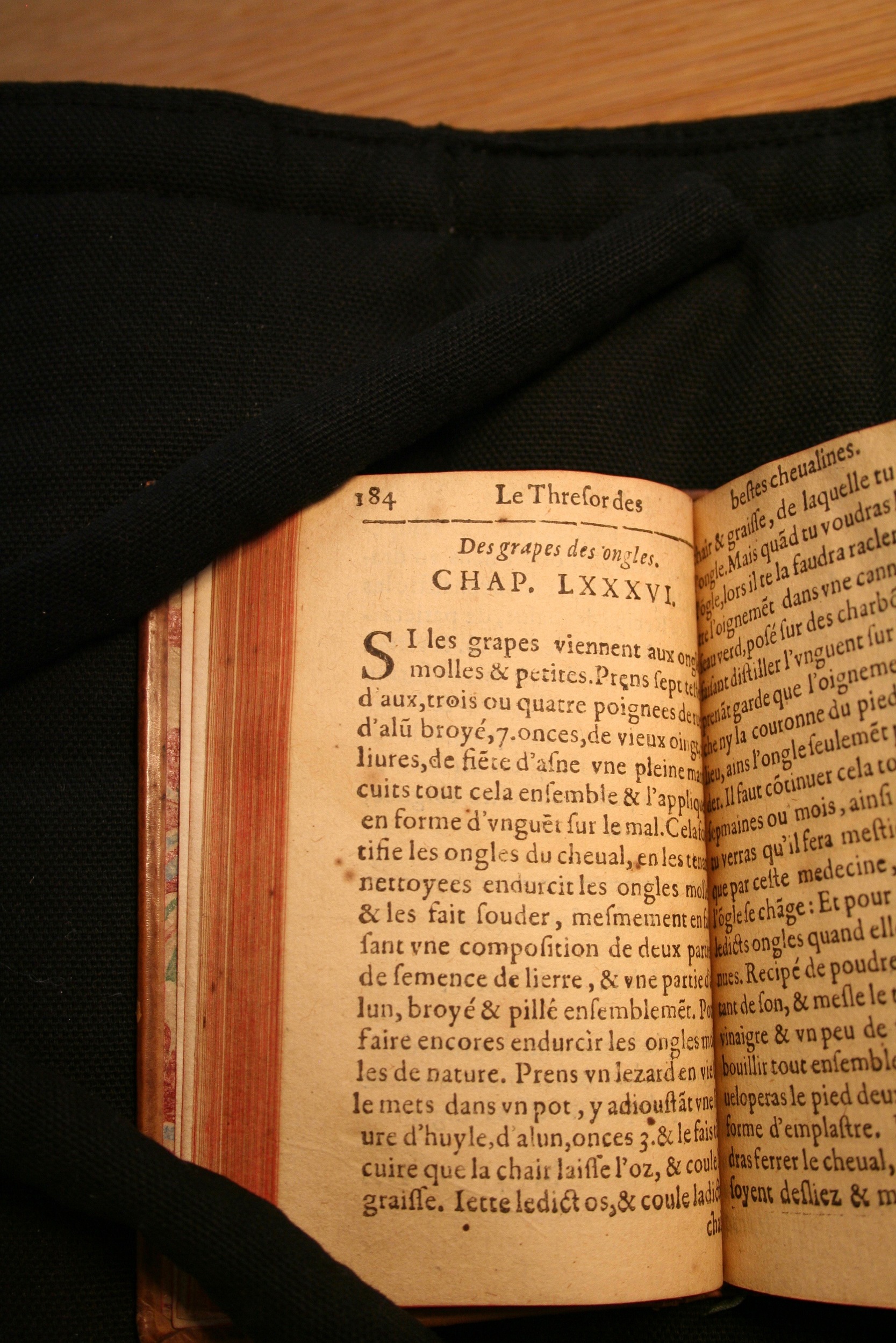 1591 - Pierre Chastaing et Benoît Rigaud - Trésor des bêtes chevalines - BM Bordeaux