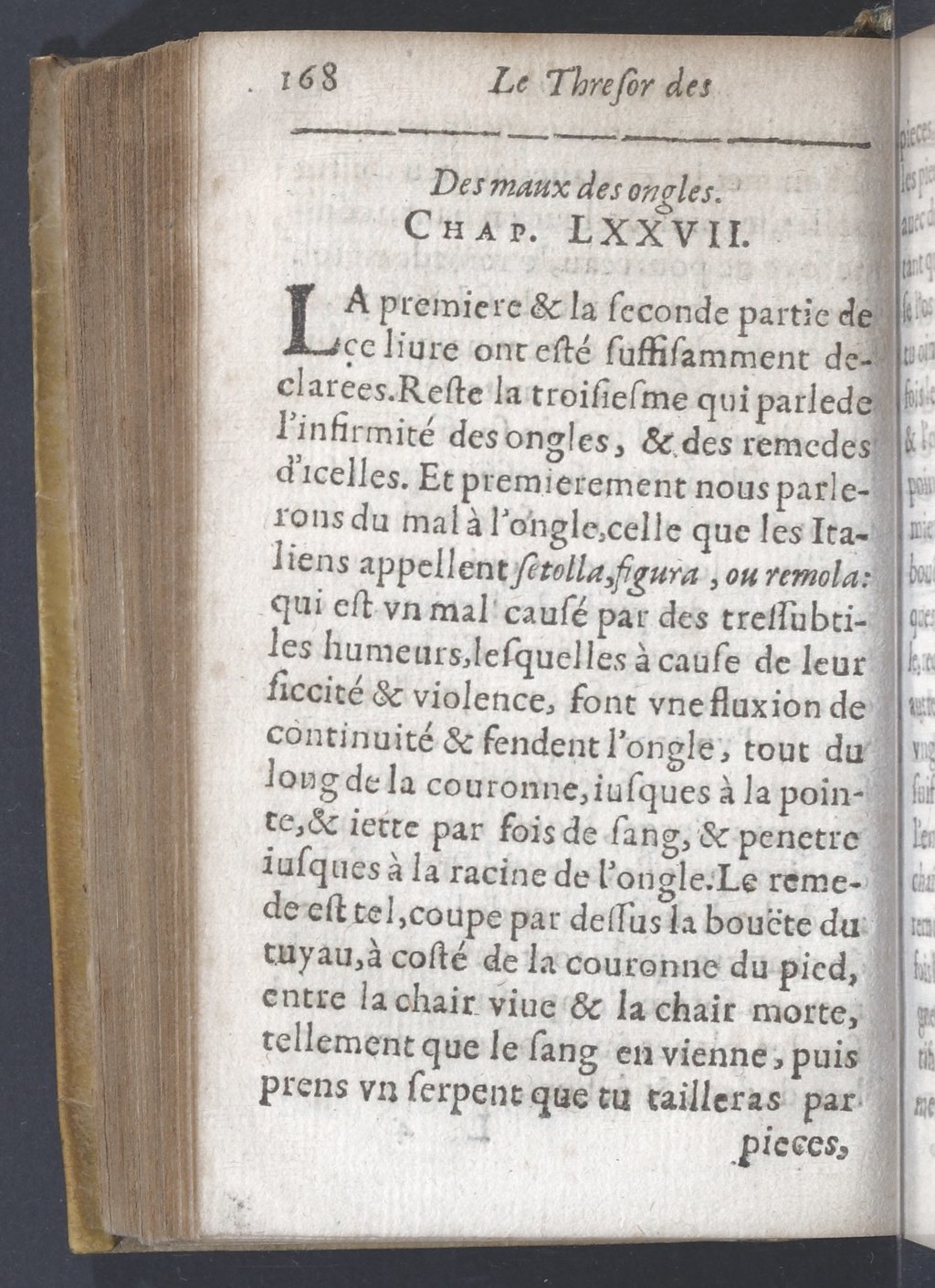 1619 - Pierre Rigaud - Trésor des bêtes chevalines - BnF 1619 - Pierre Rigaud - Trésor des bêtes chevalines - BnF