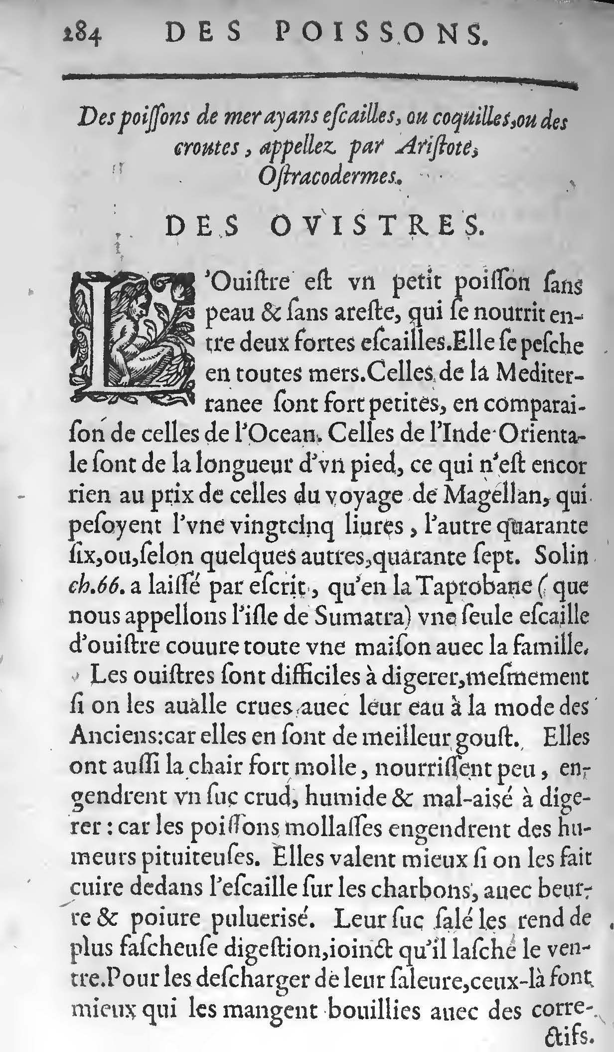 1607 - Étienne Servain et Jean Antoine Huguetan - Trésor de santé ou ménage de la vie humaine - BIU Santé