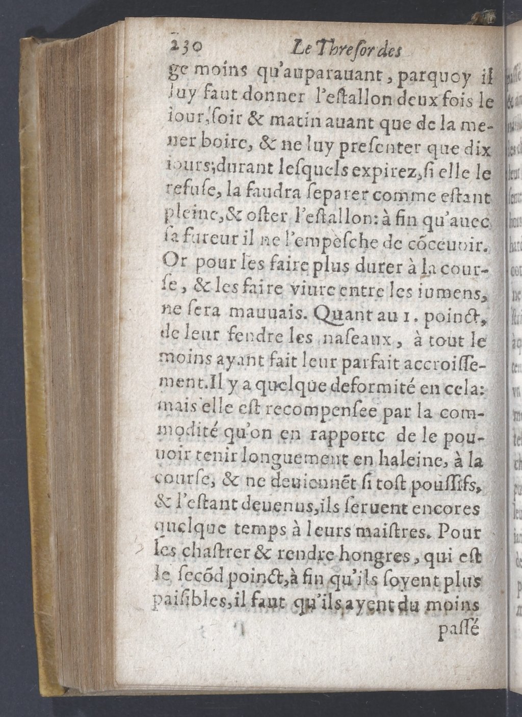 1619 - Pierre Rigaud - Trésor des bêtes chevalines - BnF 1619 - Pierre Rigaud - Trésor des bêtes chevalines - BnF