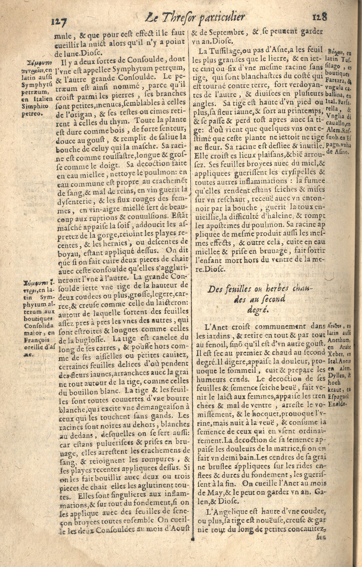 1610 - Étienne Gamonet - Grand Trésor ou dispensaire - CESR Tours