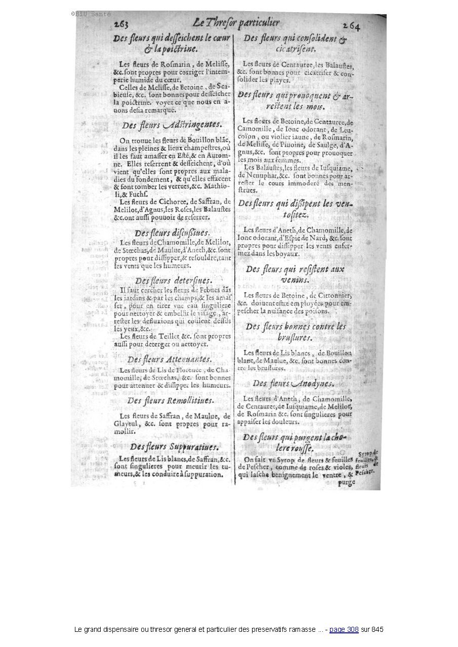 1609 - Étienne Gamonet - Grand dispensaire ou Trésor général et particulier des préservatifs - BIU Santé 1609 - Étienne Gamonet - Grand dispensaire ou Trésor général et particulier des préservatifs - BIU Santé