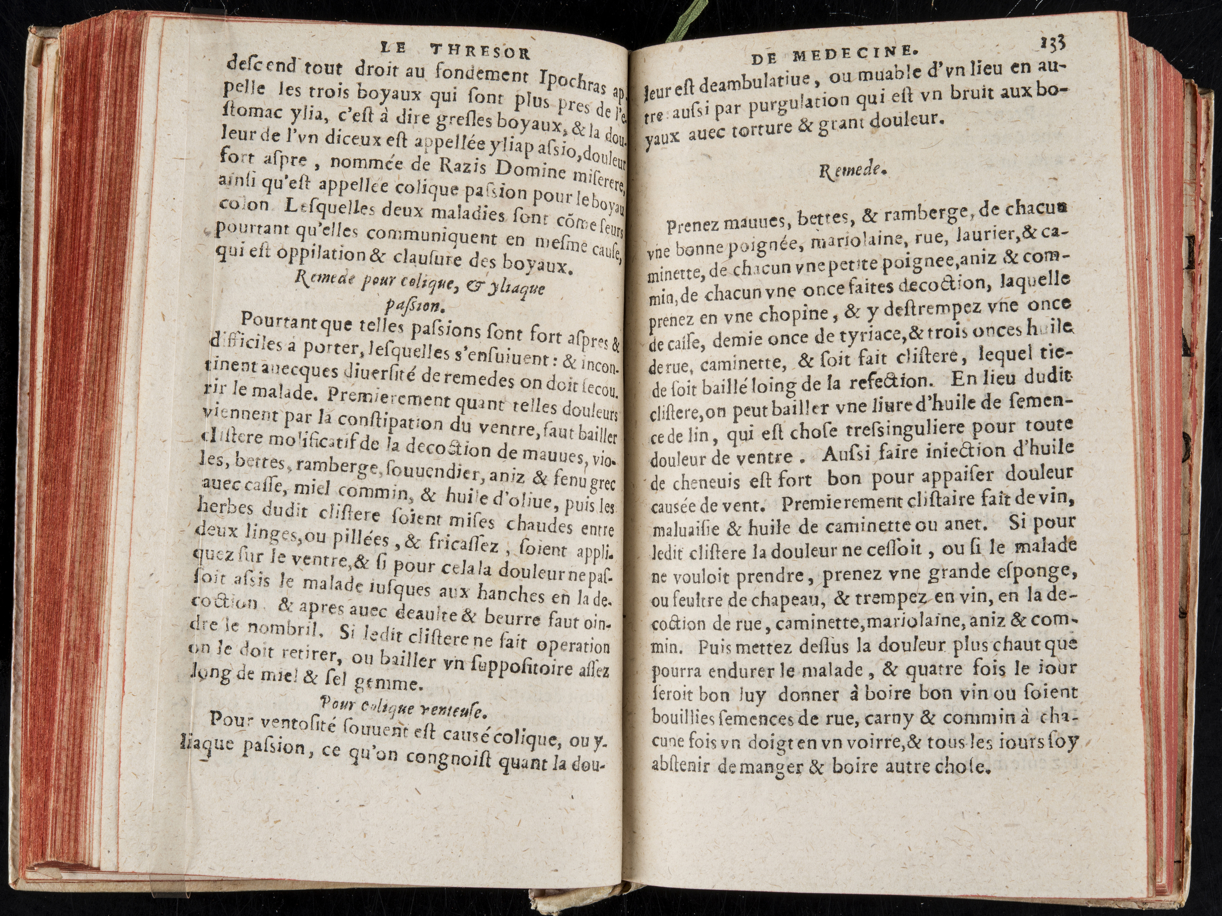 1560 - Nicolas Pelletier - Trésor de médecine - BM Poitiers