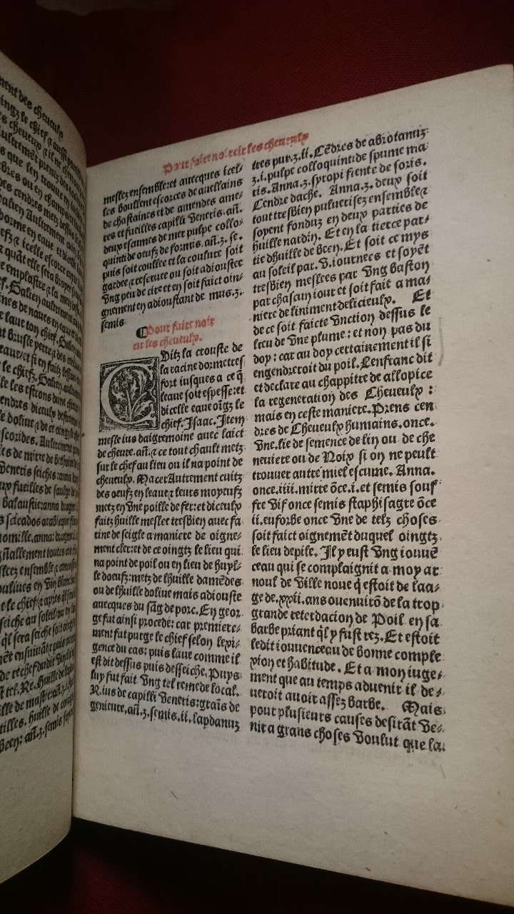 1568 - Willem Silvius - Trésor des vies de Plutarque - BnF