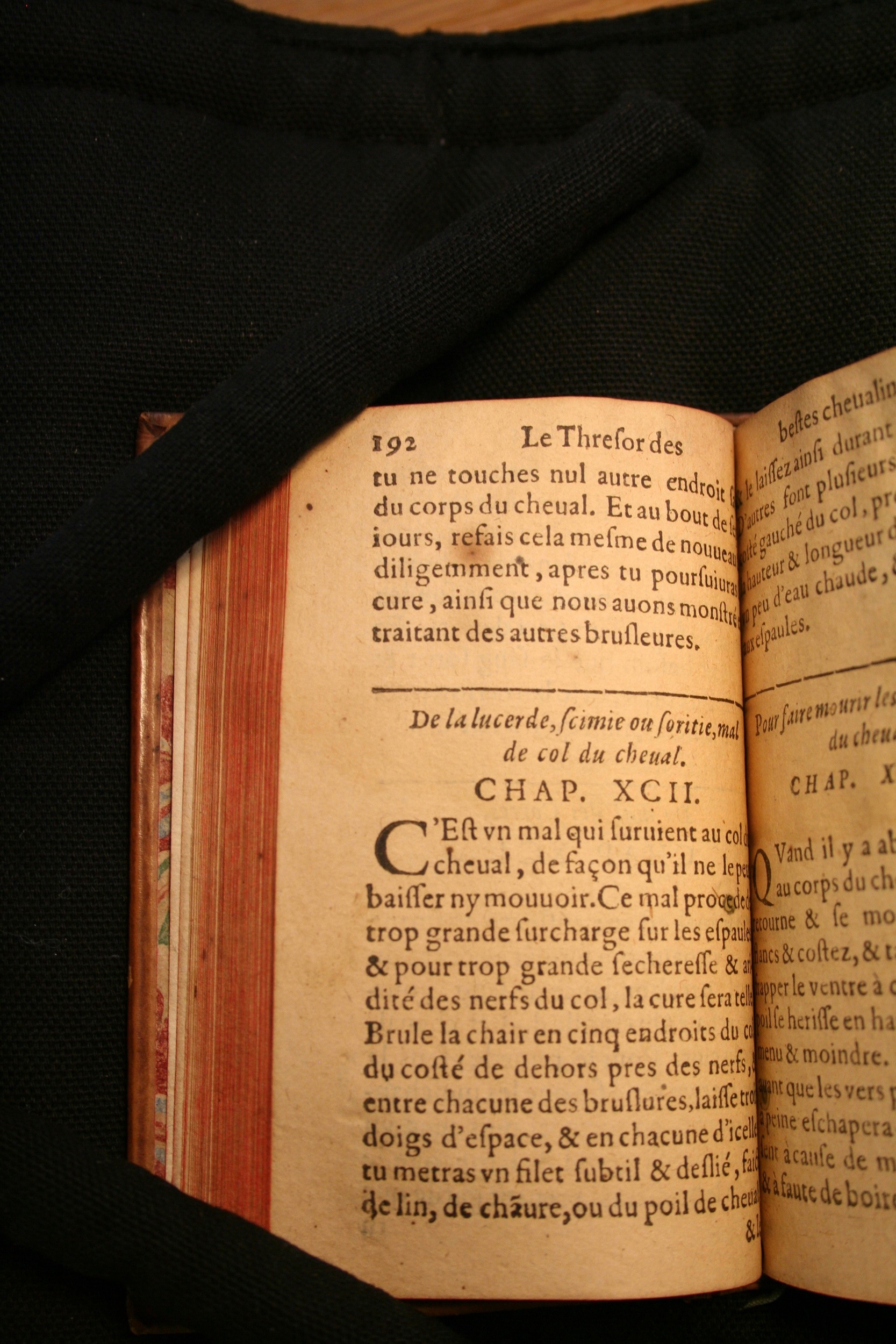 1591 - Pierre Chastaing et Benoît Rigaud - Trésor des bêtes chevalines - BM Bordeaux