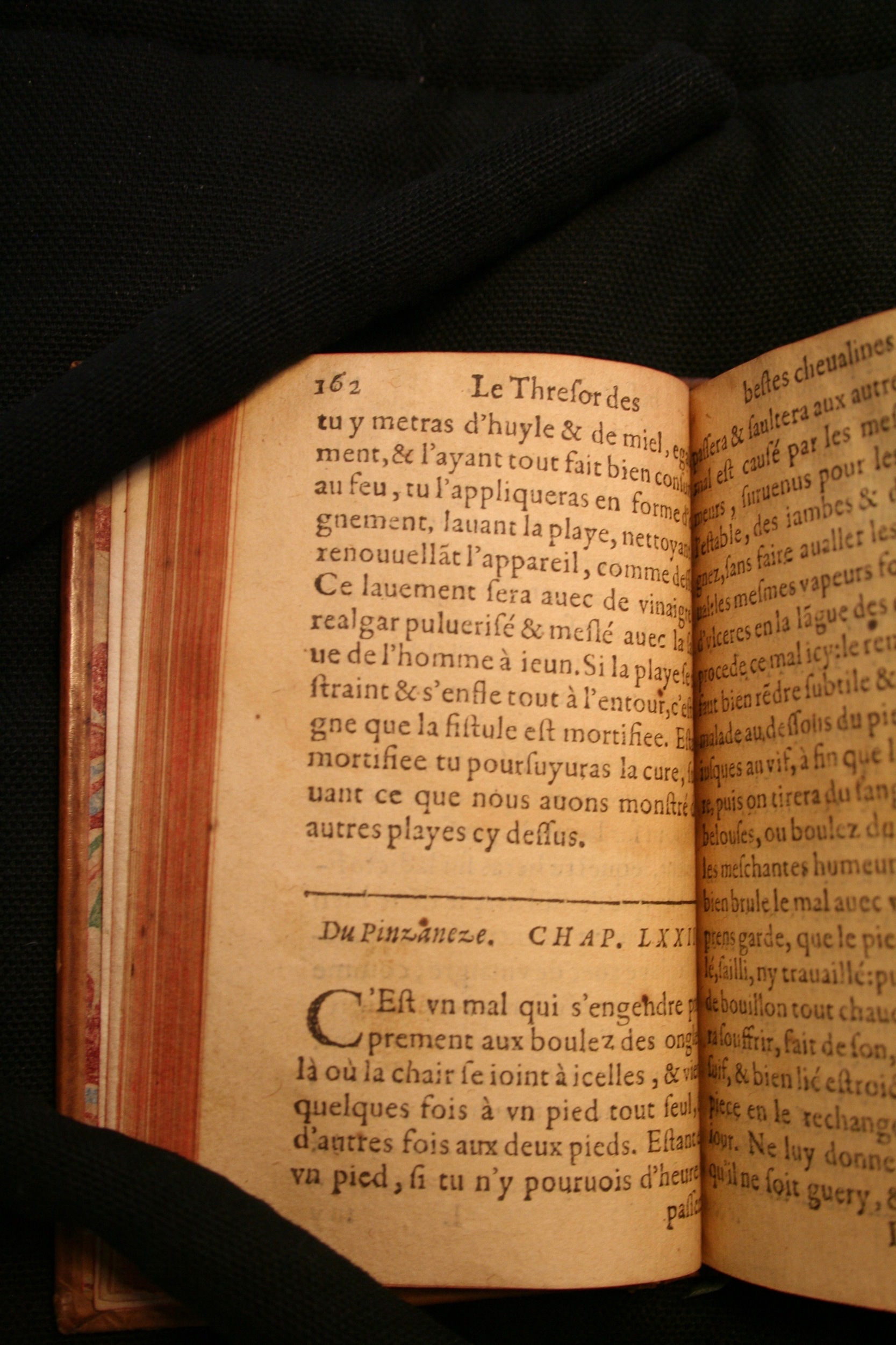 1591 - Pierre Chastaing et Benoît Rigaud - Trésor des bêtes chevalines - BM Bordeaux