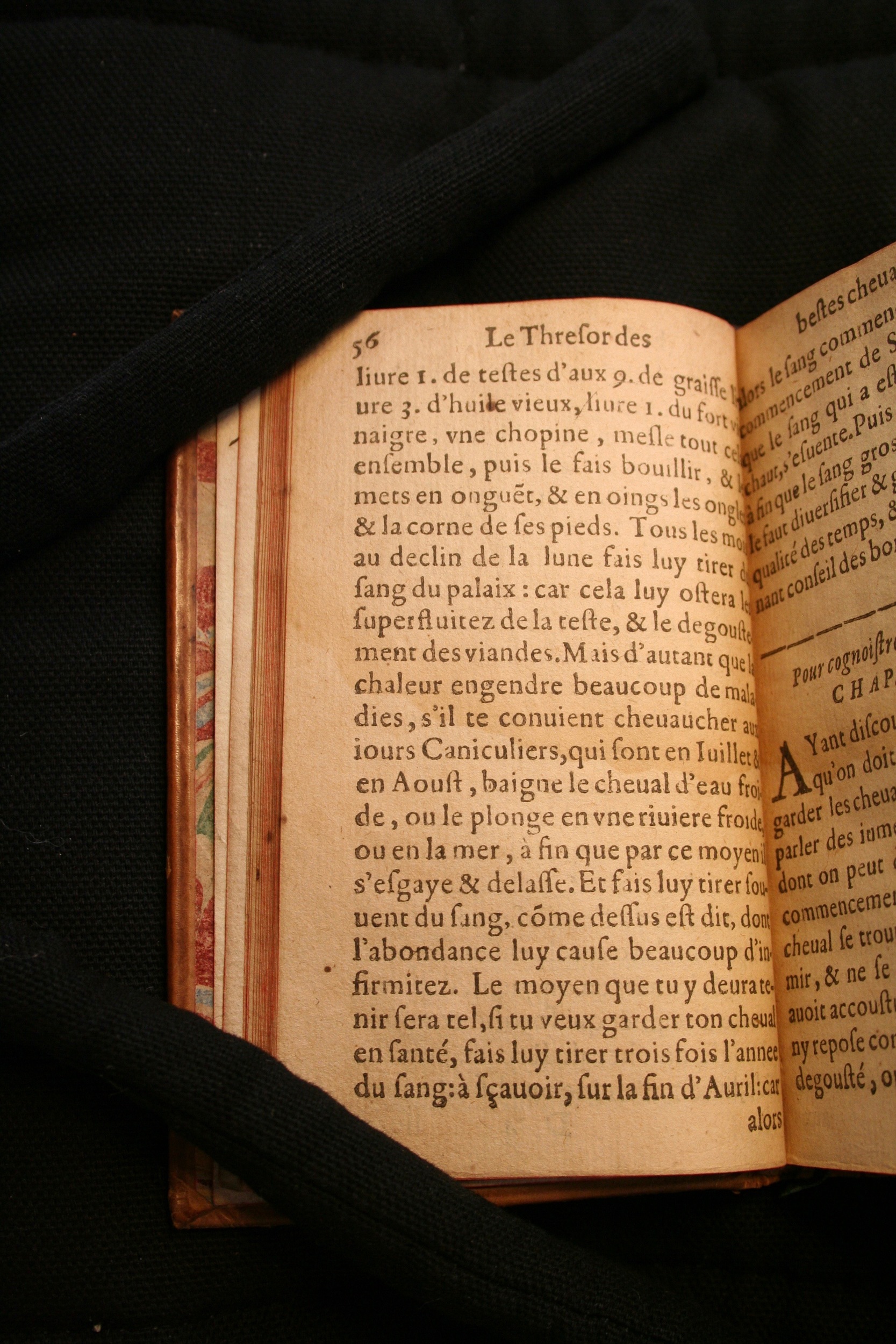 1591 - Pierre Chastaing et Benoît Rigaud - Trésor des bêtes chevalines - BM Bordeaux