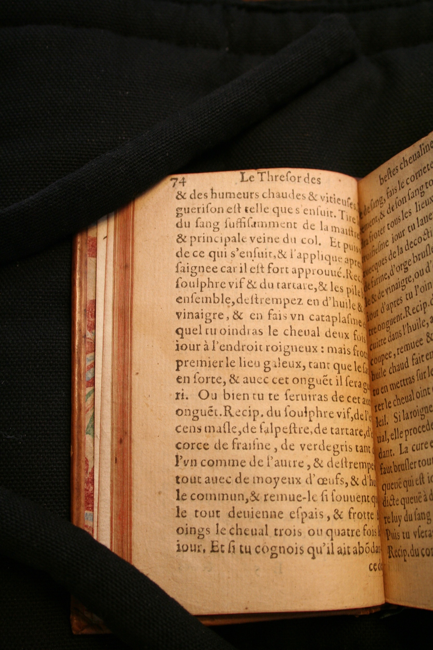 1591 - Pierre Chastaing et Benoît Rigaud - Trésor des bêtes chevalines - BM Bordeaux