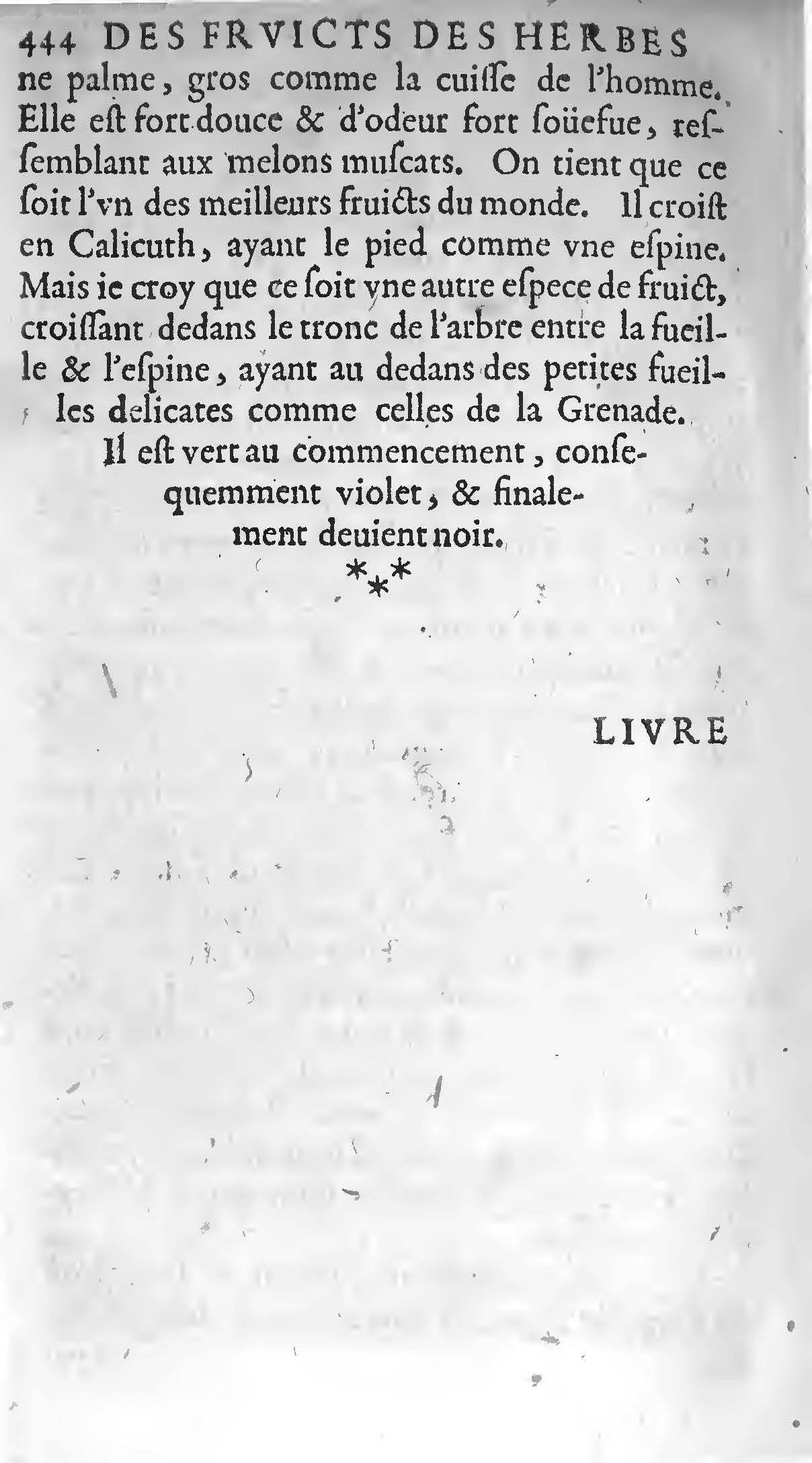 1607 Étienne Servain et Jean Antoine Huguetan - Trésor de santé ou ménage de la vie humaine - BIU Santé_Page_464.jpg