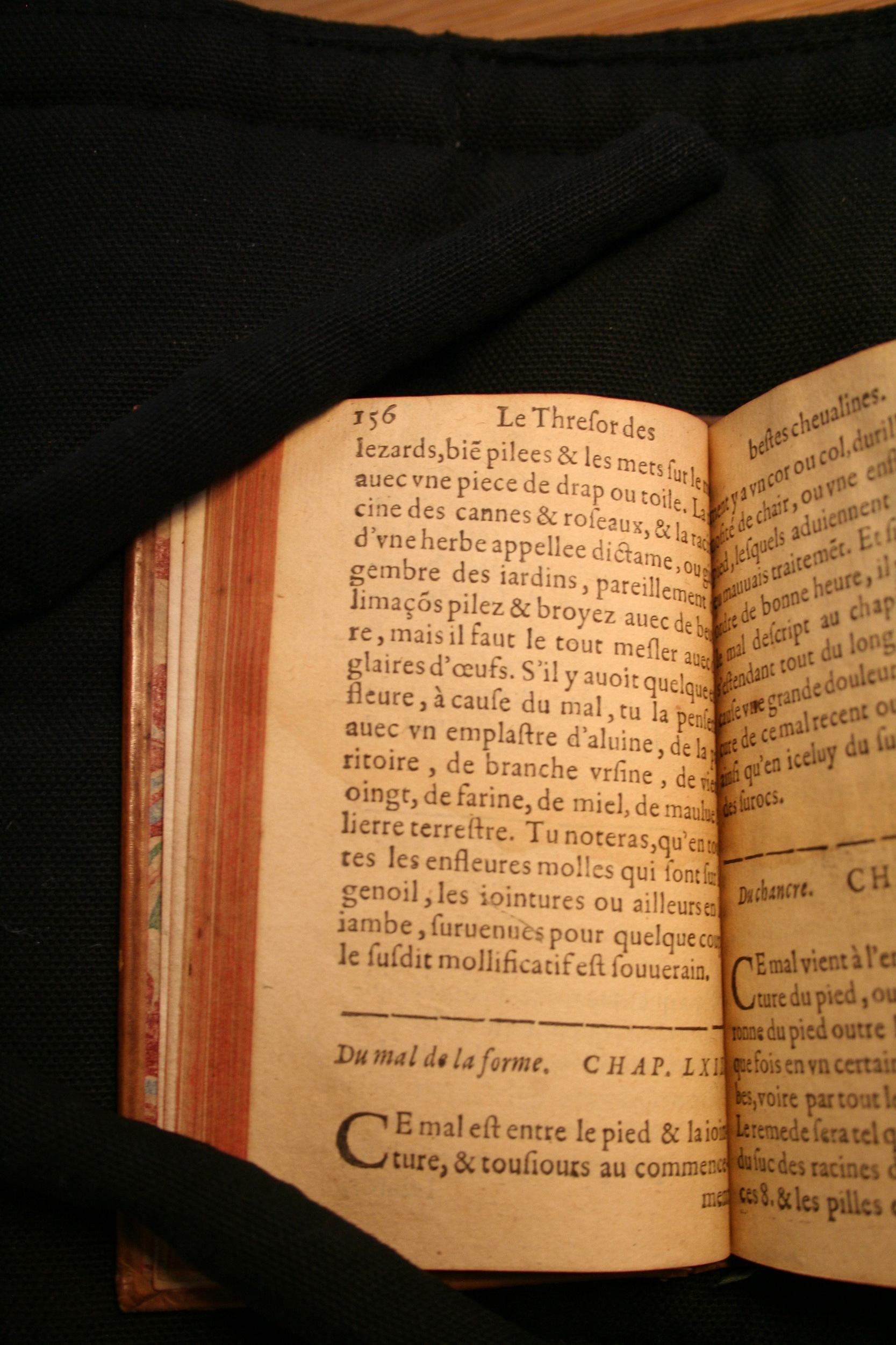 1591 - Pierre Chastaing et Benoît Rigaud - Trésor des bêtes chevalines - BM Bordeaux