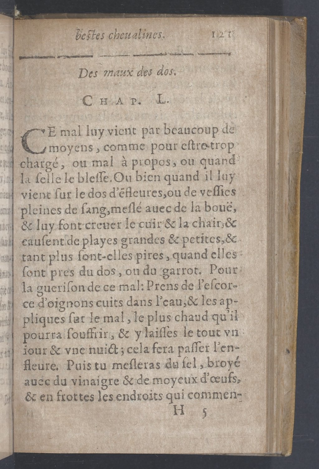 1619 - Pierre Rigaud - Trésor des bêtes chevalines - BnF 1619 - Pierre Rigaud - Trésor des bêtes chevalines - BnF
