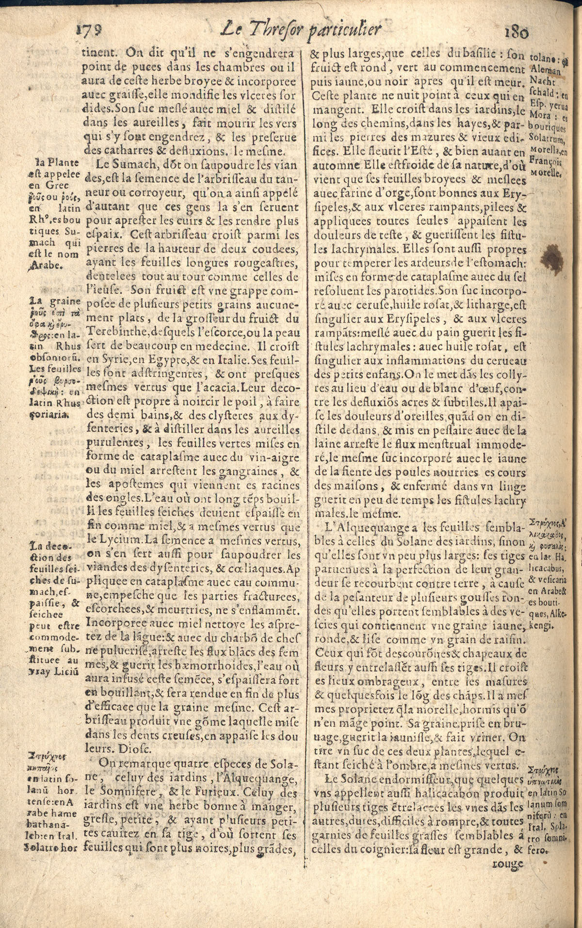 1610 - Étienne Gamonet - Grand Trésor ou dispensaire - CESR Tours