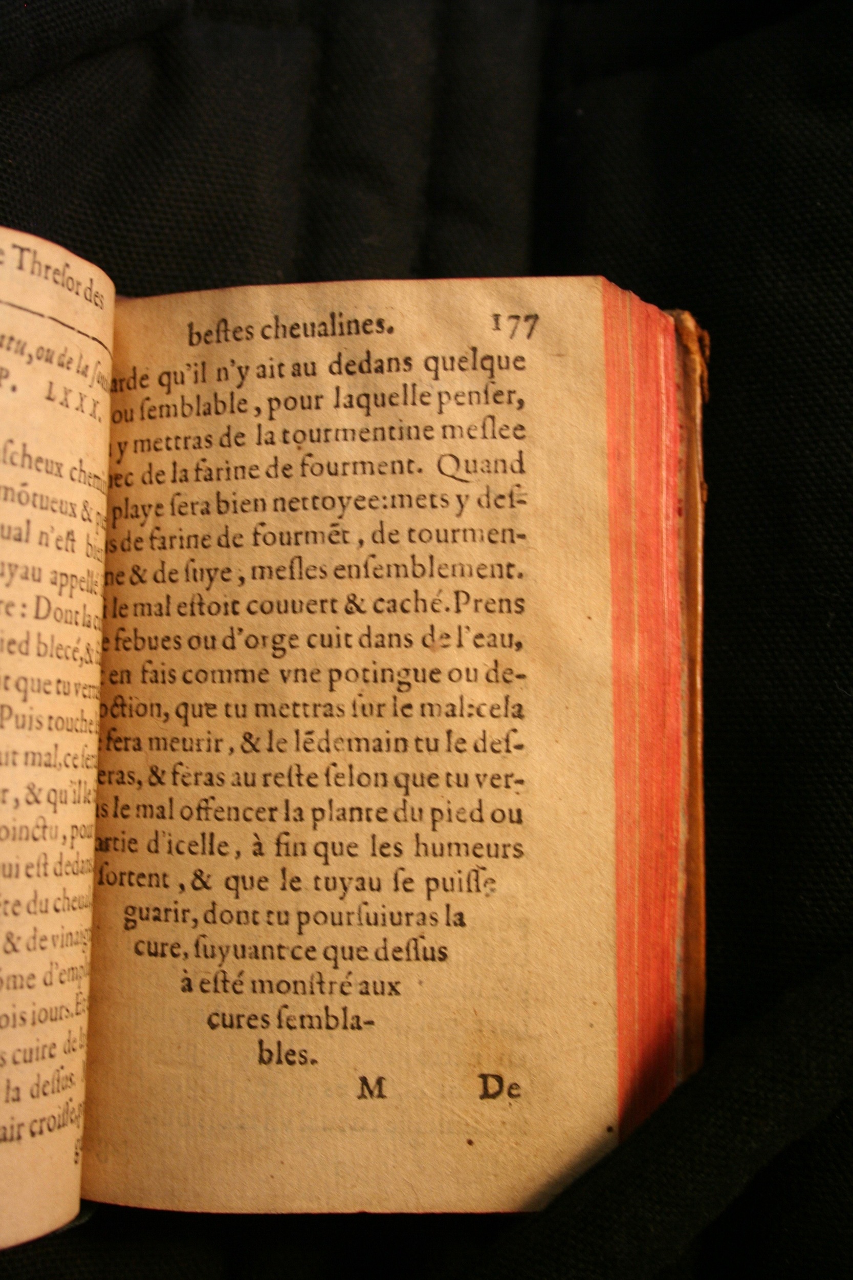 1591 - Pierre Chastaing et Benoît Rigaud - Trésor des bêtes chevalines - BM Bordeaux