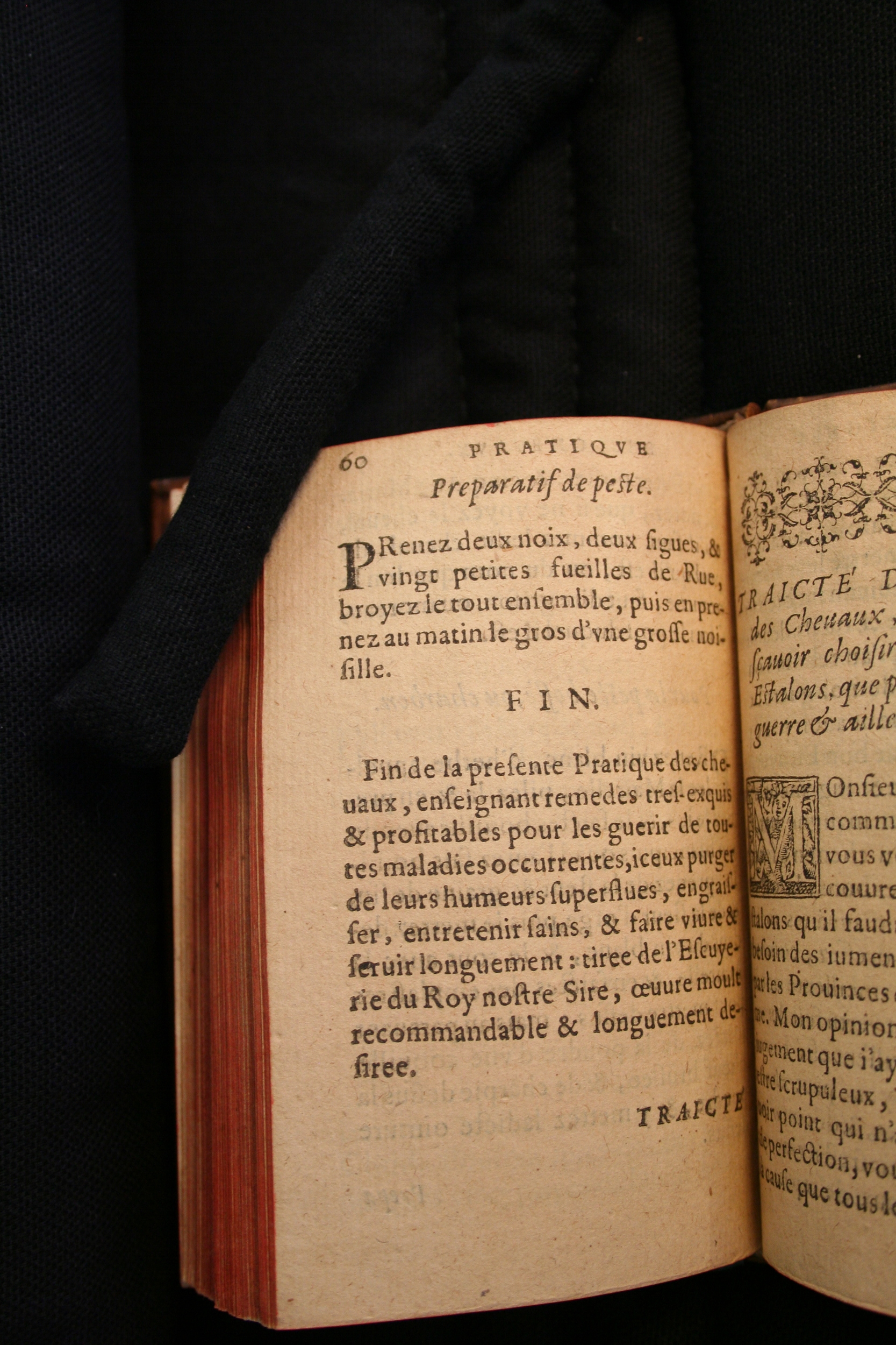 1591 - Pierre Chastaing et Benoît Rigaud - Trésor des bêtes chevalines - BM Bordeaux