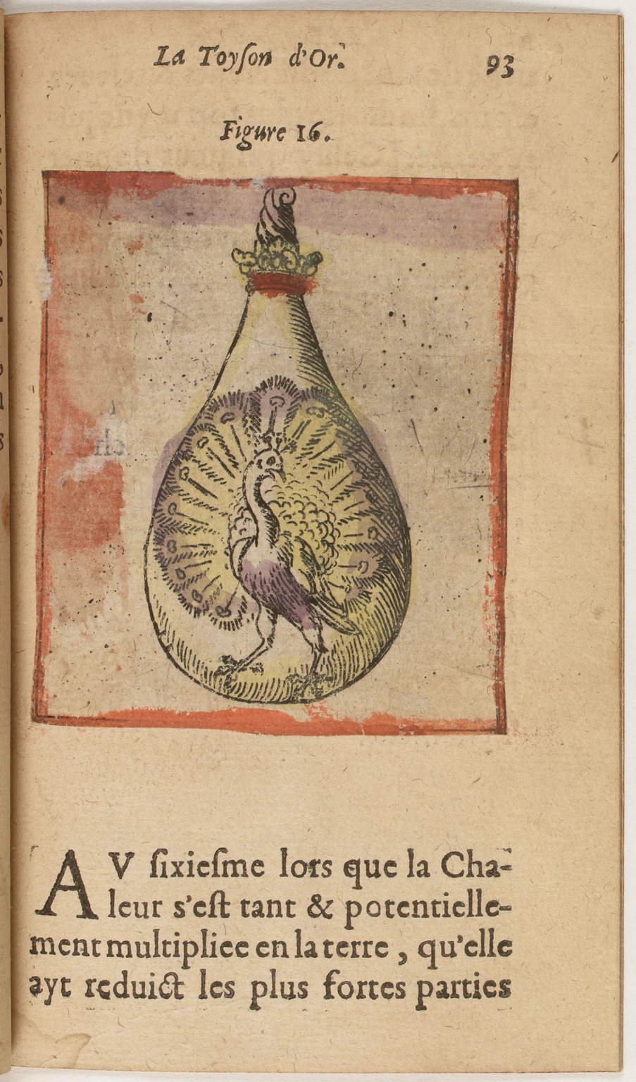 1612 - Charles Sevestre - Toison d’or ou la fleur des Trésors - BnF 1612 - Charles Sevestre - Toison d’or ou la fleur des Trésors - BnF