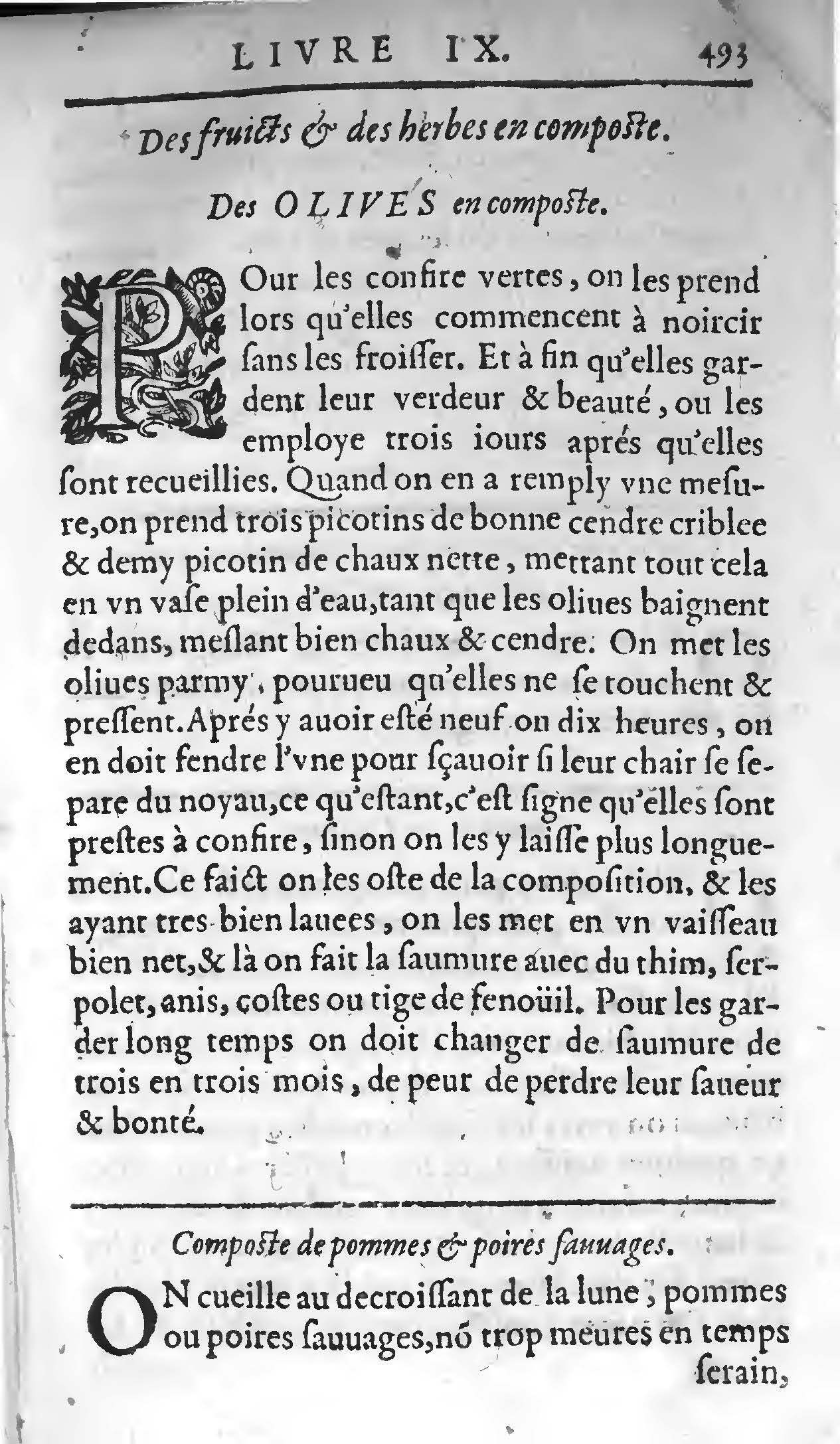 1607 - Étienne Servain et Jean Antoine Huguetan - Trésor de santé ou ménage de la vie humaine - BIU Santé