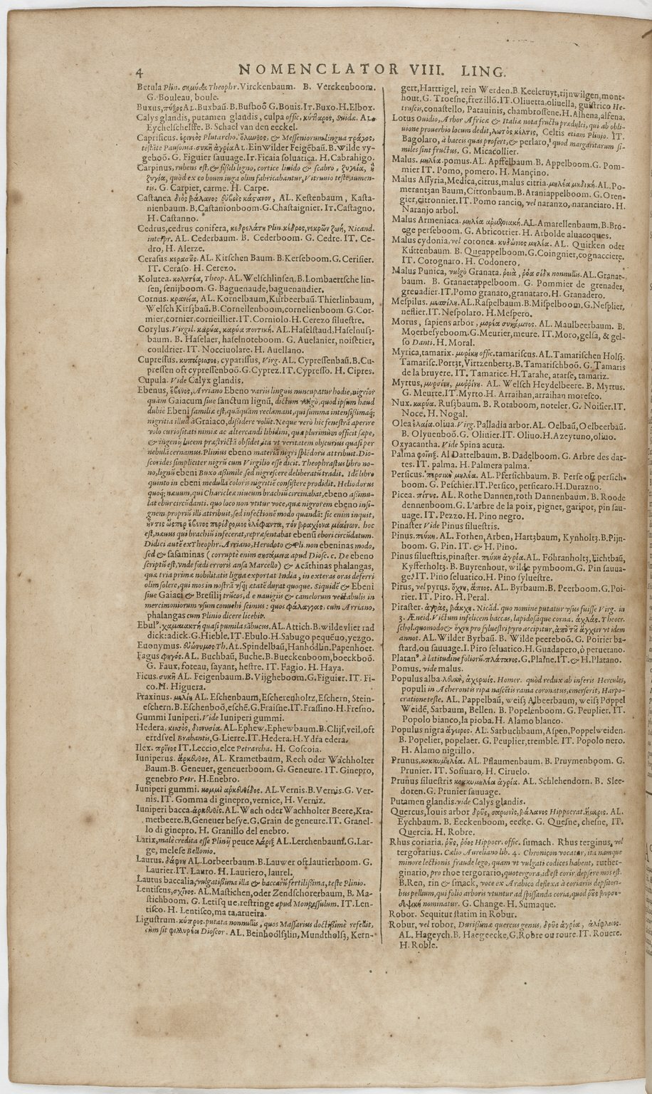 1606 - David Douceur - Trésor de la langue française - BnF