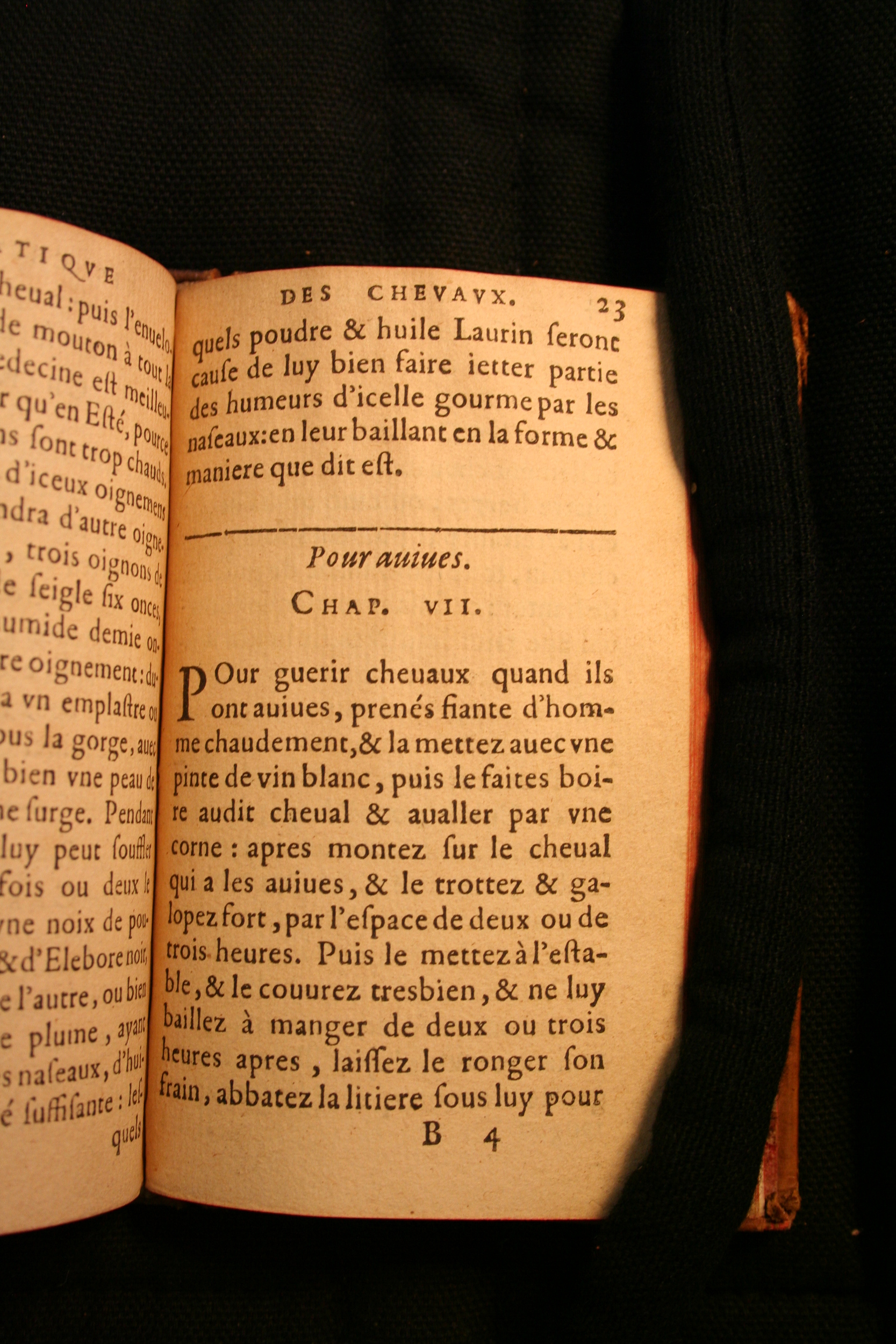 1591 - Pierre Chastaing et Benoît Rigaud - Trésor des bêtes chevalines - BM Bordeaux
