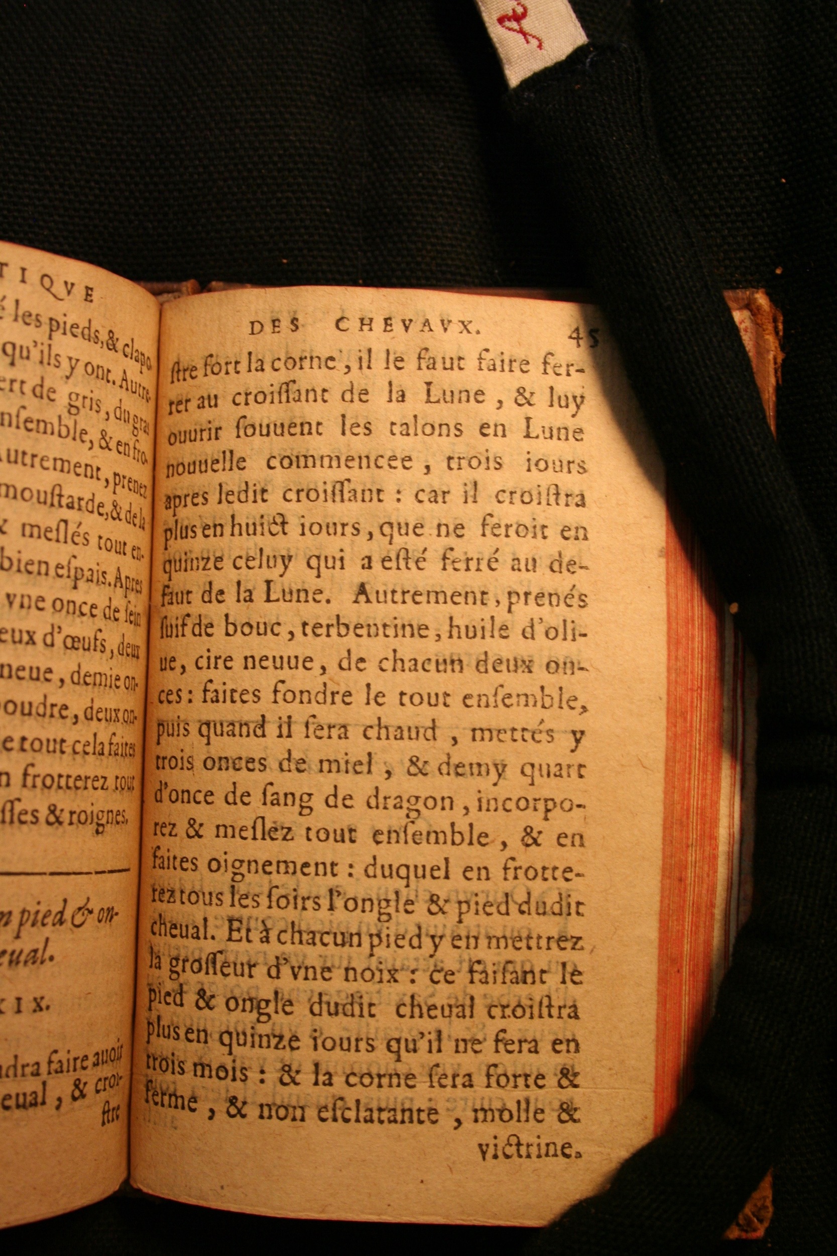 1591 - Pierre Chastaing et Benoît Rigaud - Trésor des bêtes chevalines - BM Bordeaux