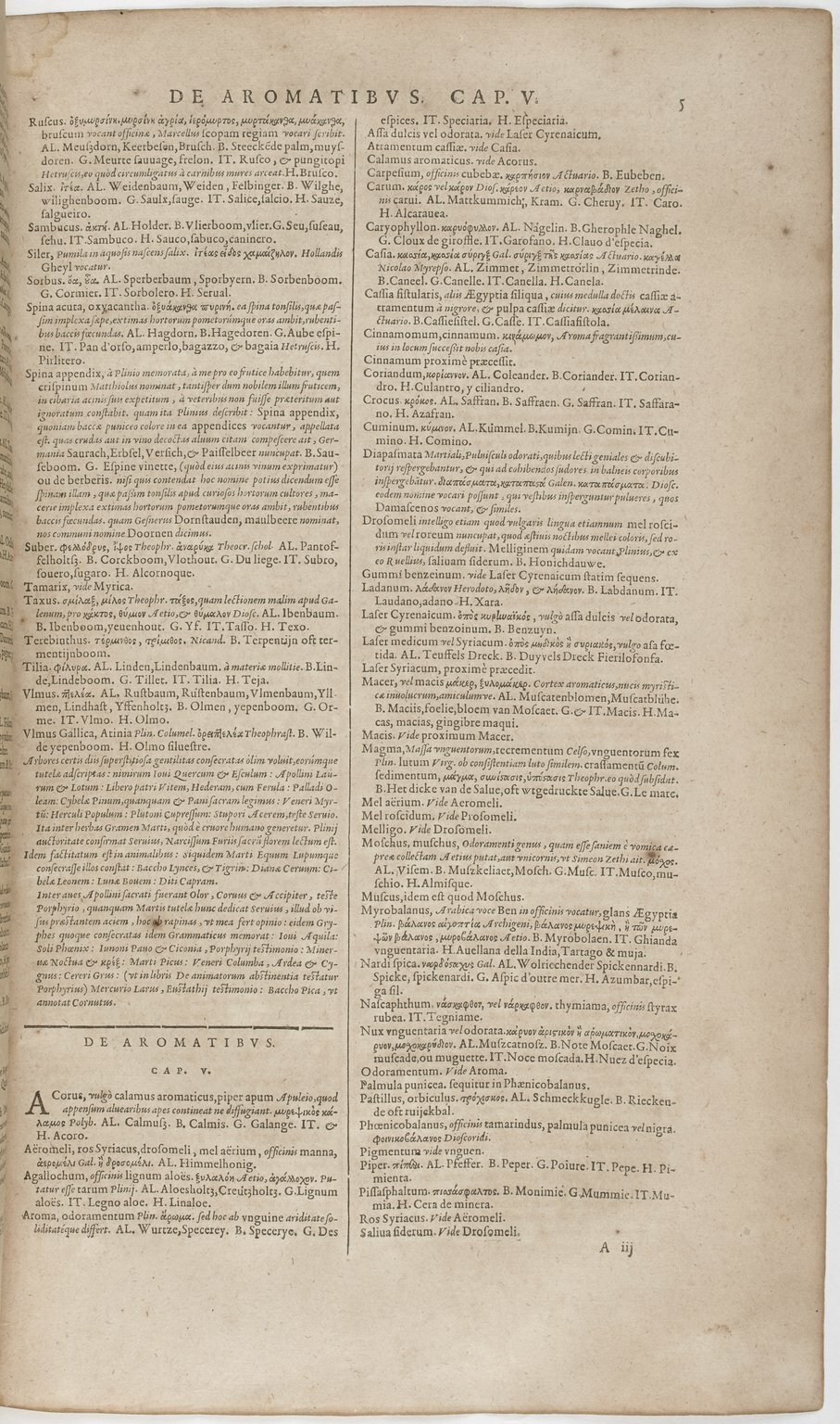 1606 - David Douceur - Trésor de la langue française - BnF