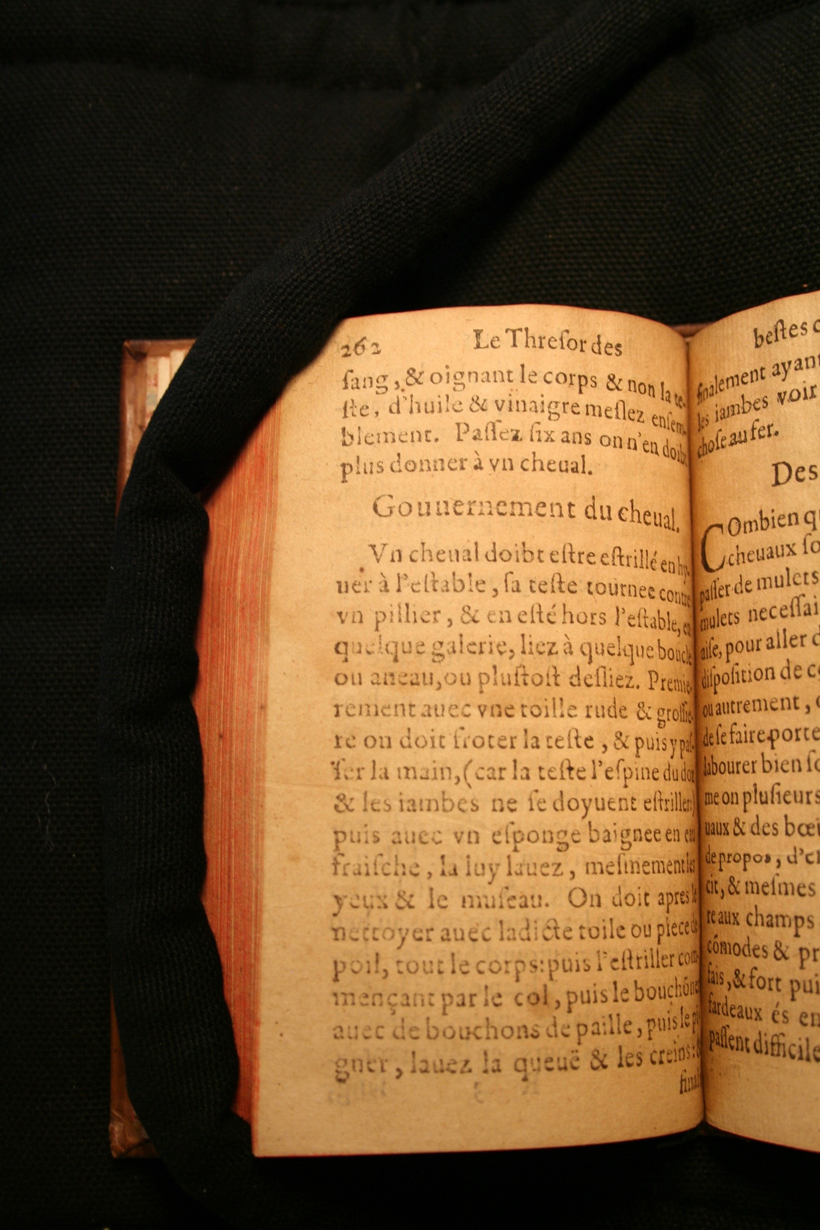 1591 - Pierre Chastaing et Benoît Rigaud - Trésor des bêtes chevalines - BM Bordeaux