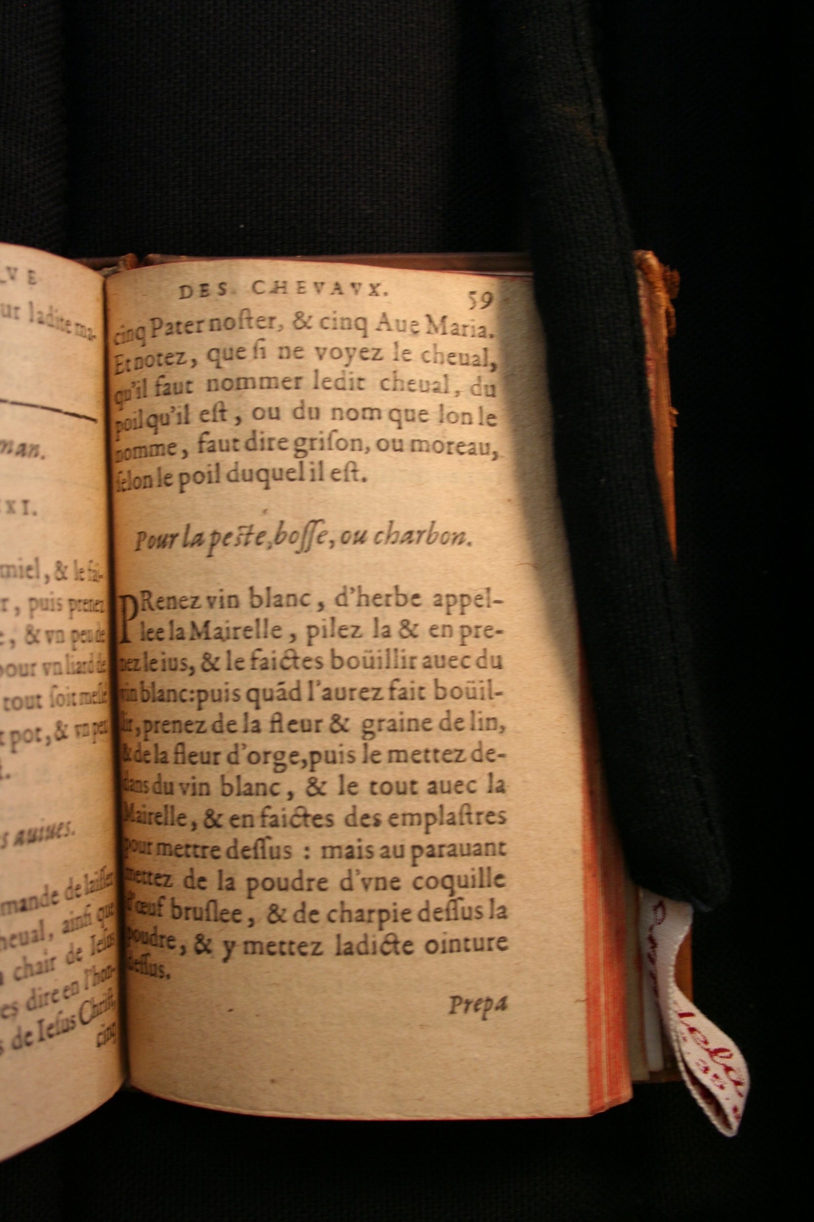 1591 - Pierre Chastaing et Benoît Rigaud - Trésor des bêtes chevalines - BM Bordeaux