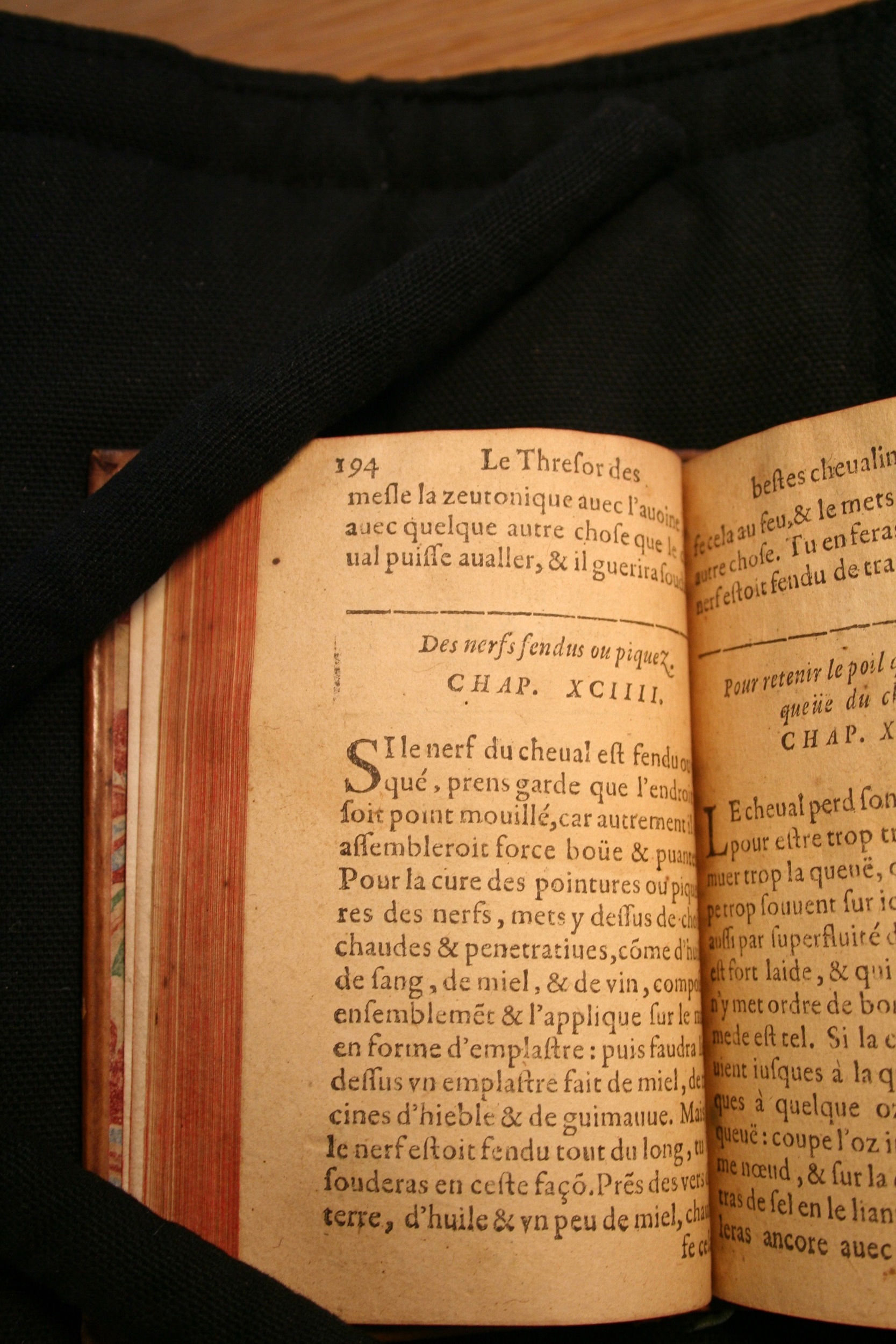 1591 - Pierre Chastaing et Benoît Rigaud - Trésor des bêtes chevalines - BM Bordeaux
