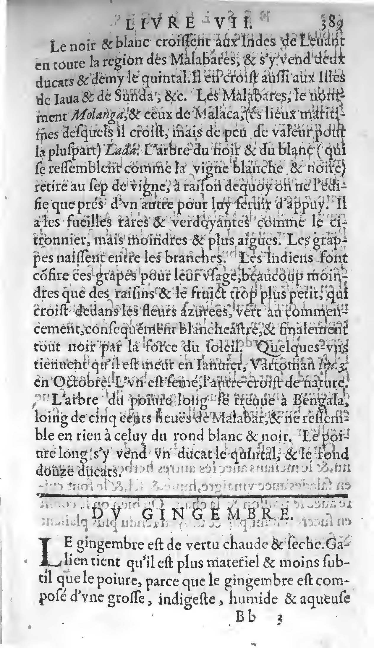 1607 - Étienne Servain et Jean Antoine Huguetan - Trésor de santé ou ménage de la vie humaine - BIU Santé