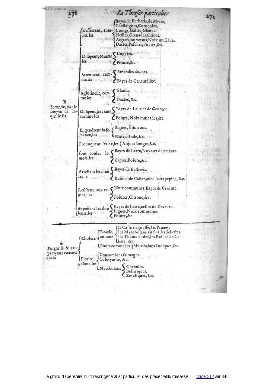 1609 - Étienne Gamonet - Grand dispensaire ou Trésor général et particulier des préservatifs - BIU Santé 1609 - Étienne Gamonet - Grand dispensaire ou Trésor général et particulier des préservatifs - BIU Santé