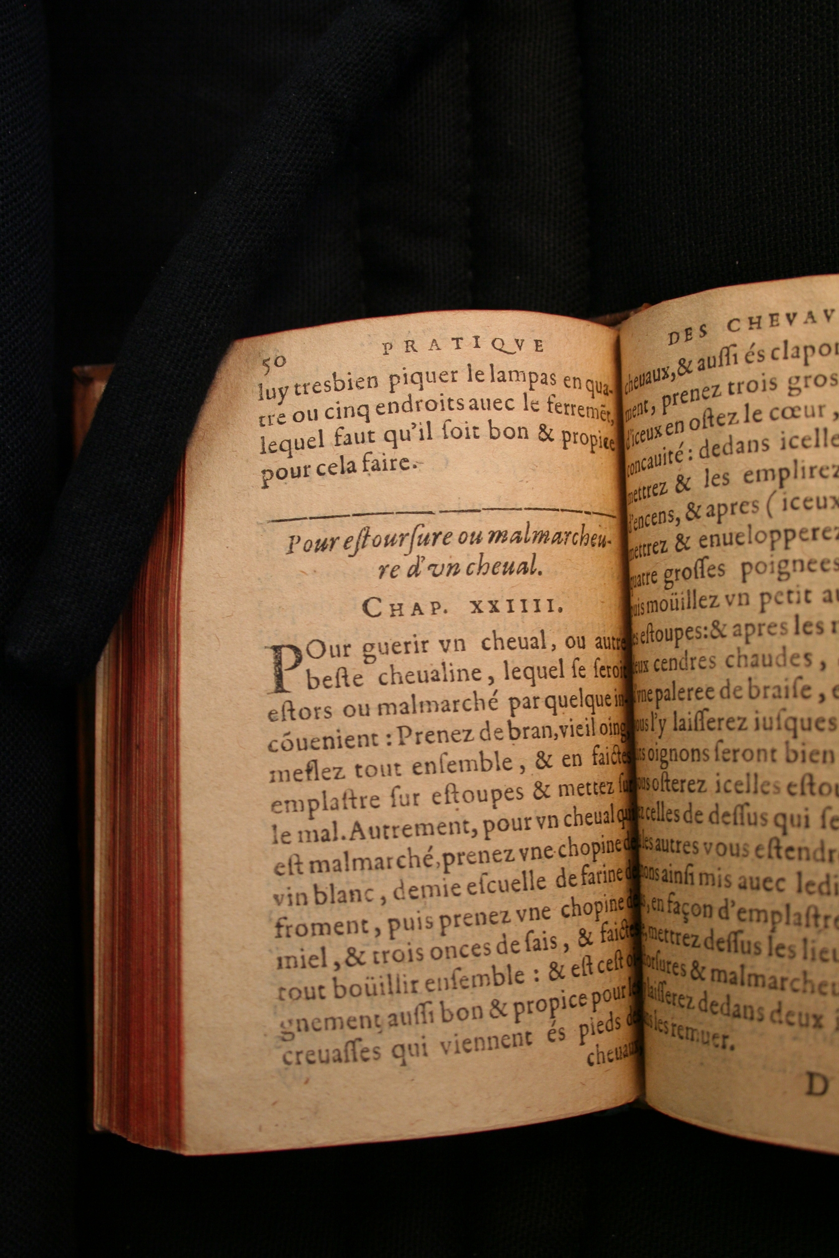 1591 - Pierre Chastaing et Benoît Rigaud - Trésor des bêtes chevalines - BM Bordeaux