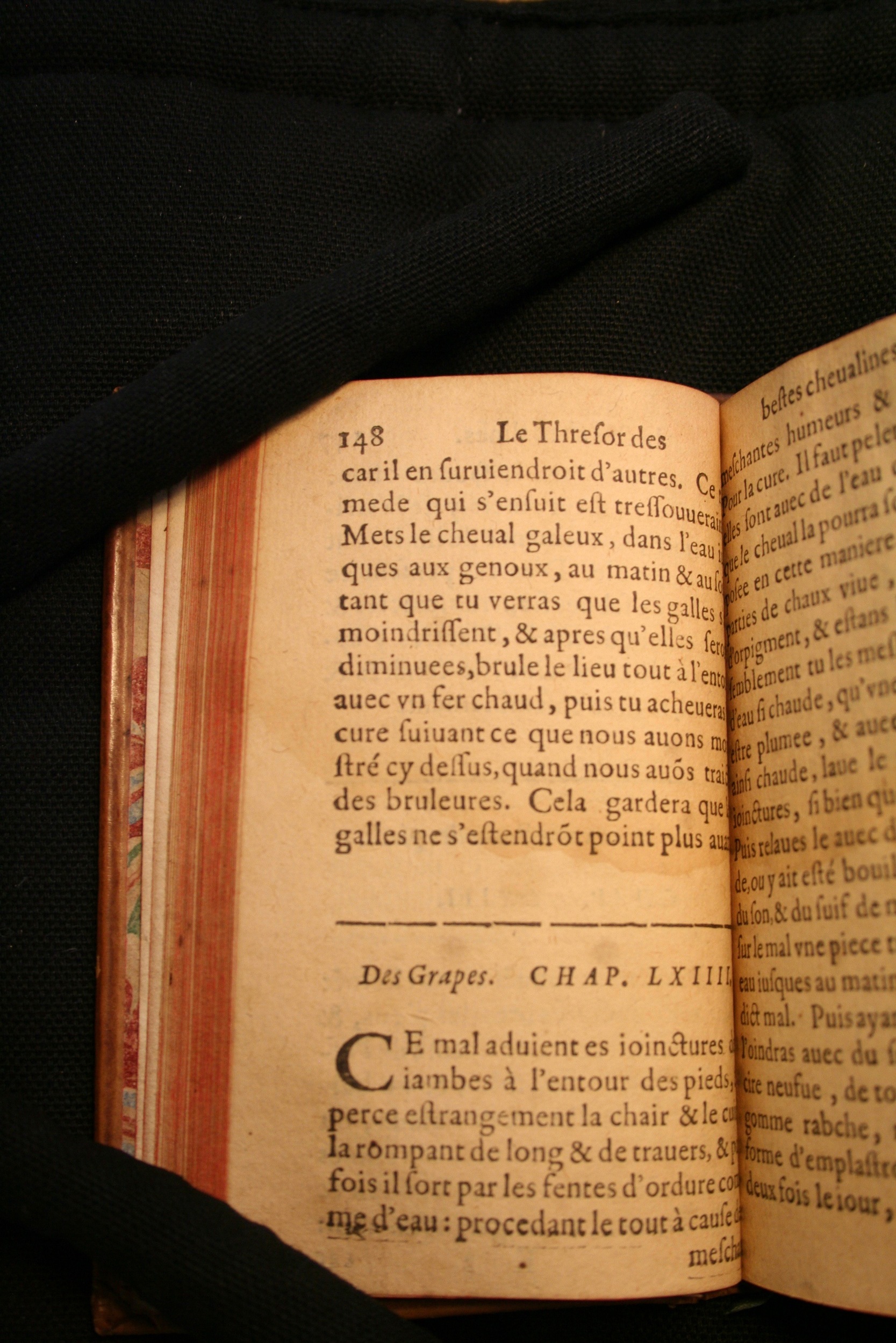 1591 - Pierre Chastaing et Benoît Rigaud - Trésor des bêtes chevalines - BM Bordeaux