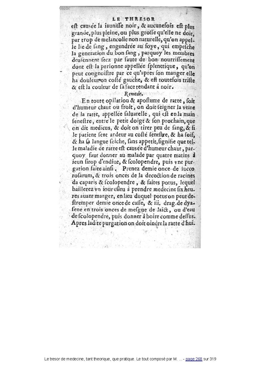 1560 - Pierre et Jan Moine - Trésor de médecine - Université Paris Cité 1560 - Pierre et Jan Moine - Trésor de médecine - Université Paris Cité