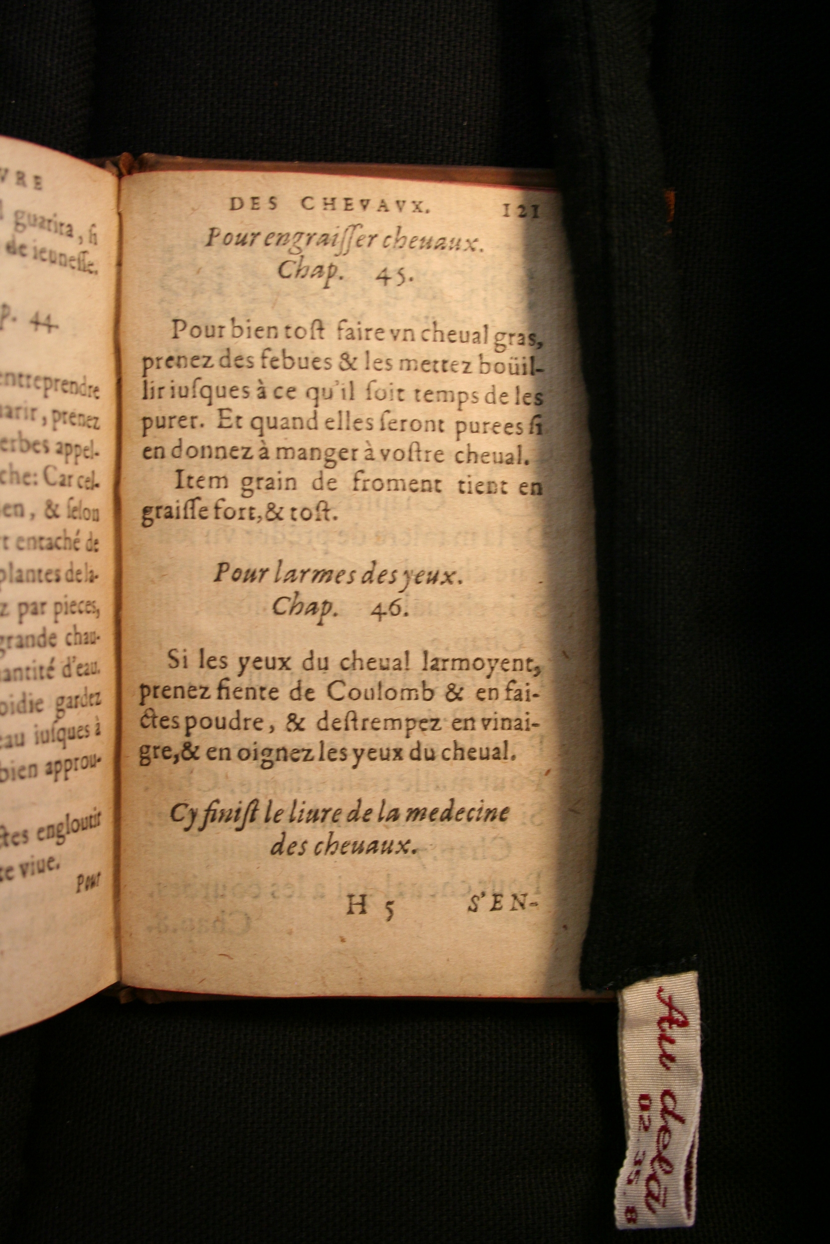 1591 - Pierre Chastaing et Benoît Rigaud - Trésor des bêtes chevalines - BM Bordeaux