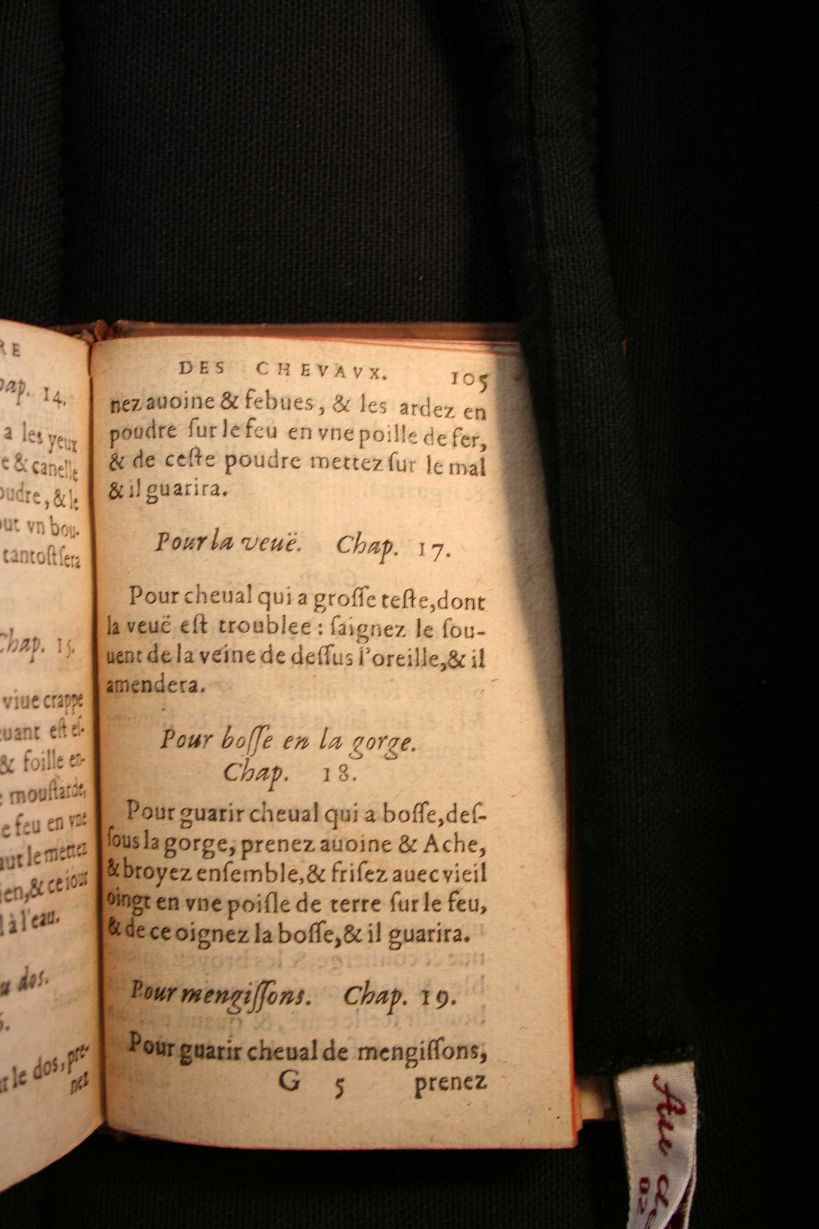 1591 - Pierre Chastaing et Benoît Rigaud - Trésor des bêtes chevalines - BM Bordeaux