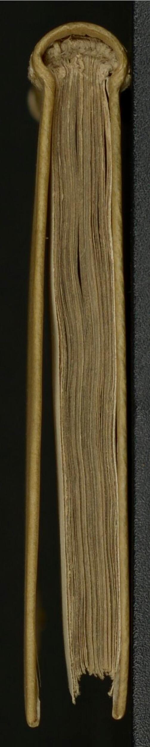 1619 - SHC - Trésor de l’histoire des langues de cet univers - BSB Munich 1619 - SHC - Trésor de l’histoire des langues de cet univers - BSB Munich
