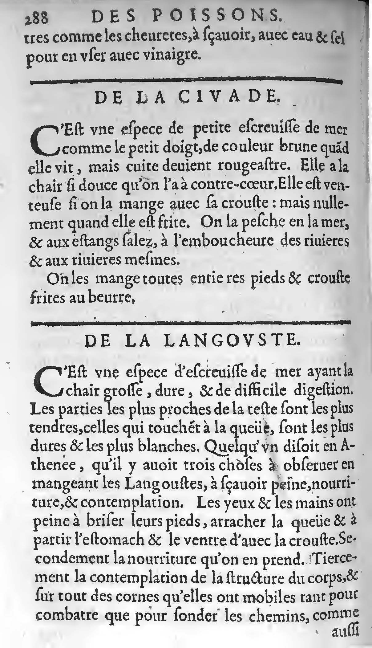 1607 Étienne Servain et Jean Antoine Huguetan - Trésor de santé ou ménage de la vie humaine - BIU Santé_Page_308.jpg