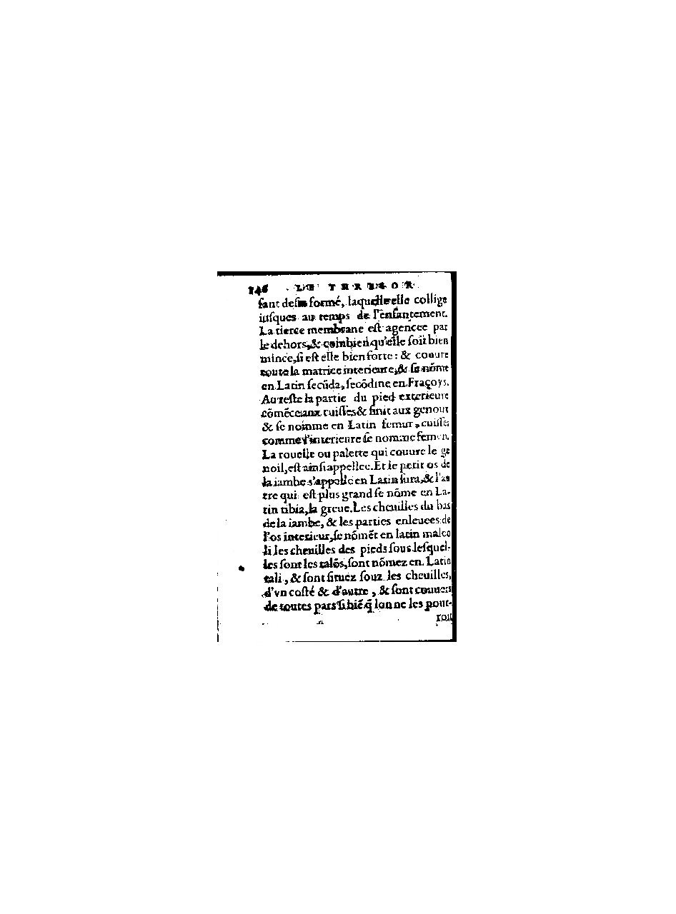 1578 - Benoît Rigaud - Trésor de médecine tant théorique que pratique - BnF