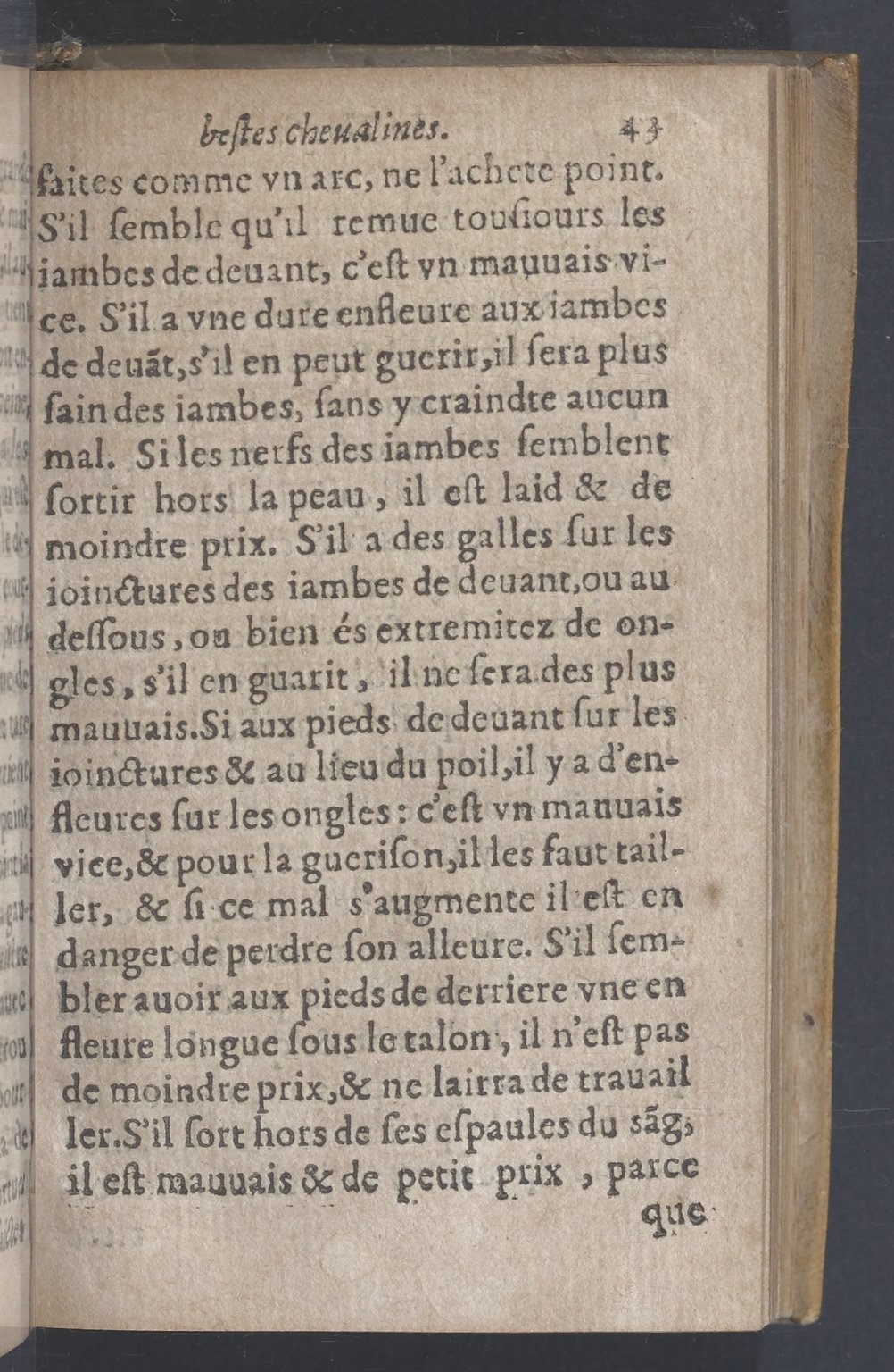 1619 - Pierre Rigaud - Trésor des bêtes chevalines - BnF
