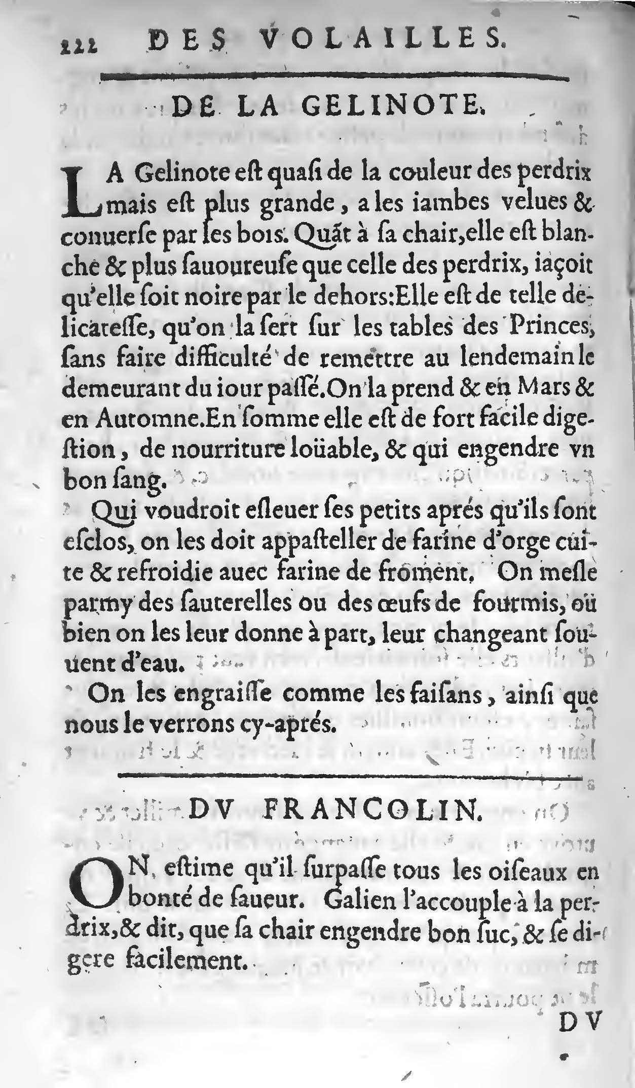 1607 - Étienne Servain et Jean Antoine Huguetan - Trésor de santé ou ménage de la vie humaine - BIU Santé