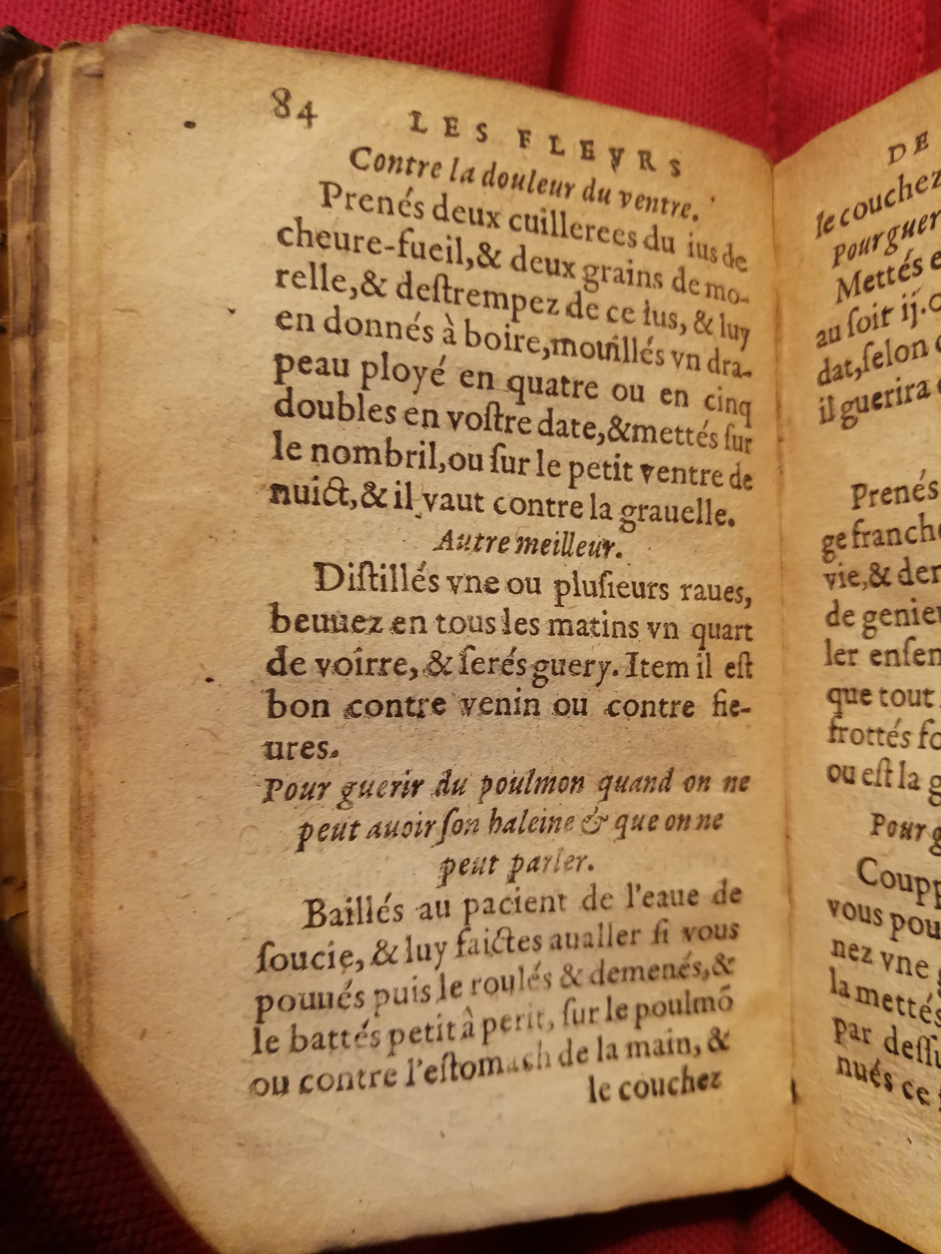 1586 - Benoît Rigaud - Trésor des fleurs et secrets de médecine - Sainte-Geneviève