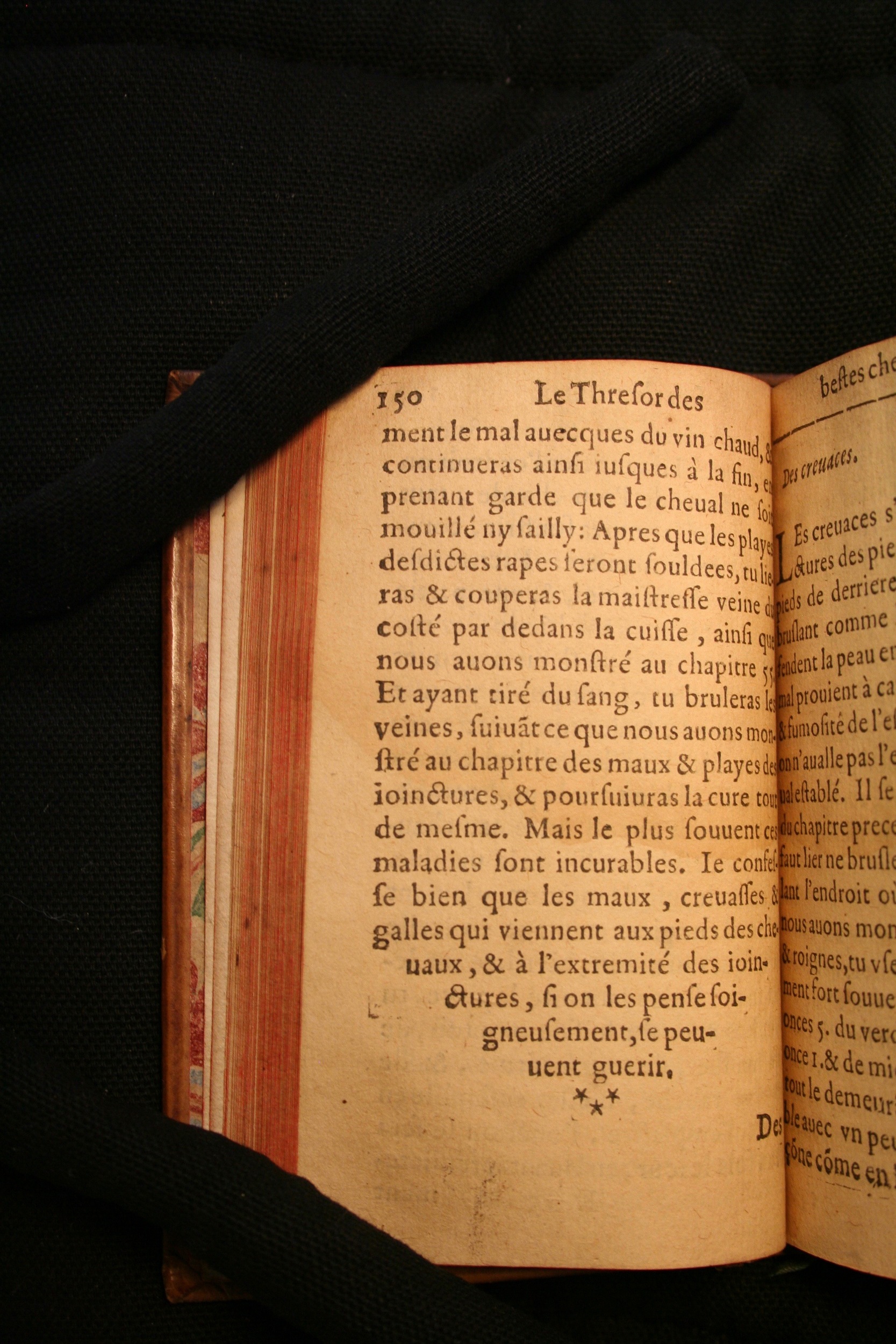 1591 - Pierre Chastaing et Benoît Rigaud - Trésor des bêtes chevalines - BM Bordeaux