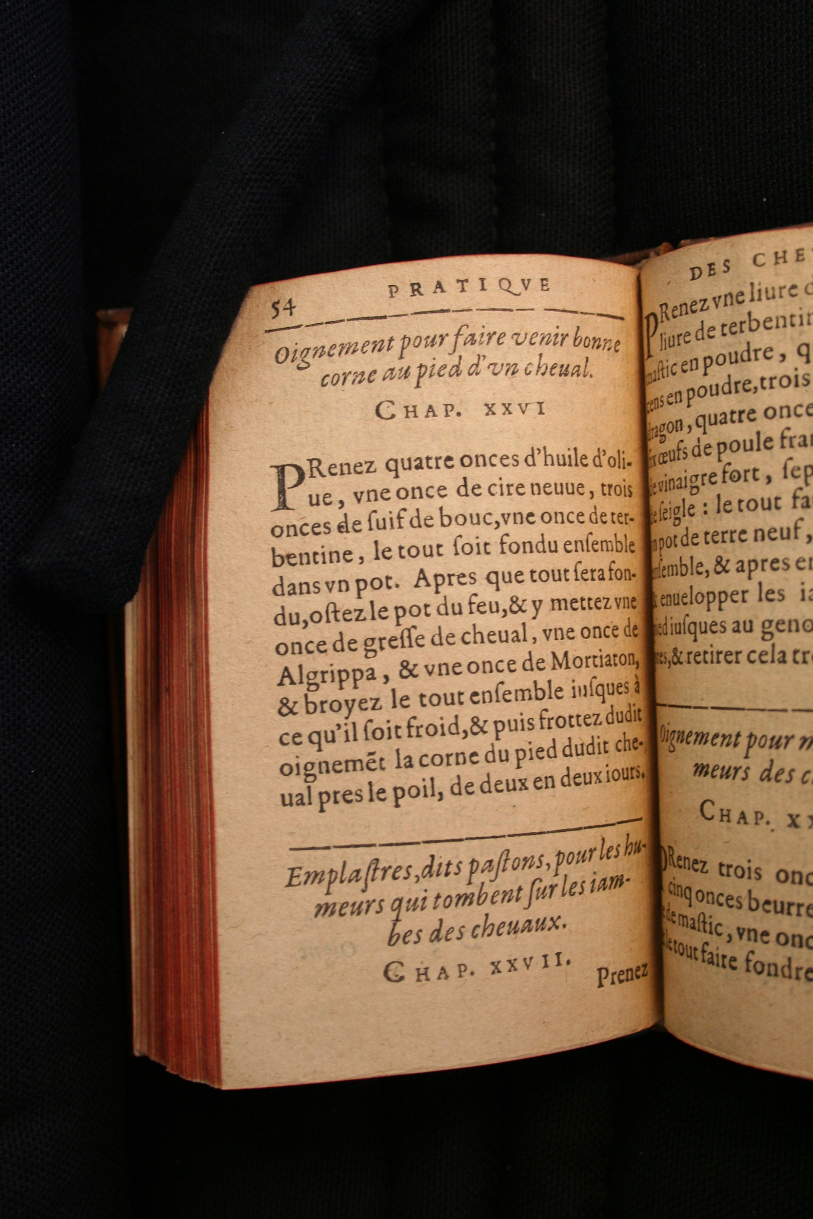 1591 - Pierre Chastaing et Benoît Rigaud - Trésor des bêtes chevalines - BM Bordeaux