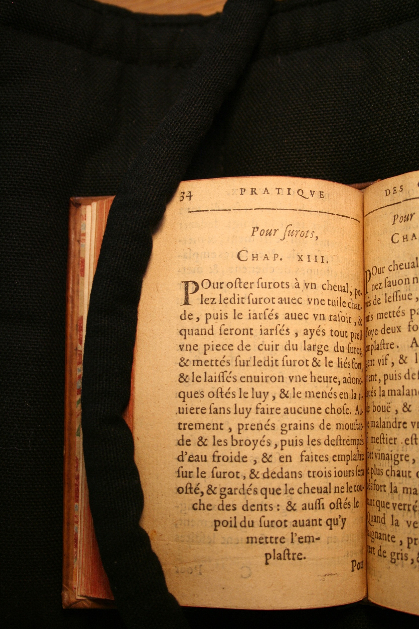 1591 - Pierre Chastaing et Benoît Rigaud - Trésor des bêtes chevalines - BM Bordeaux
