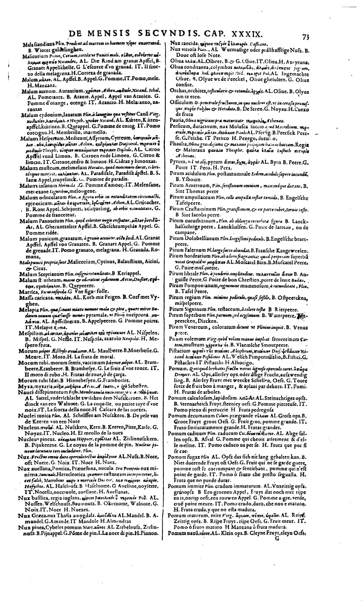 1606 - David Douceur - Trésor de la langue française - BM Lyon