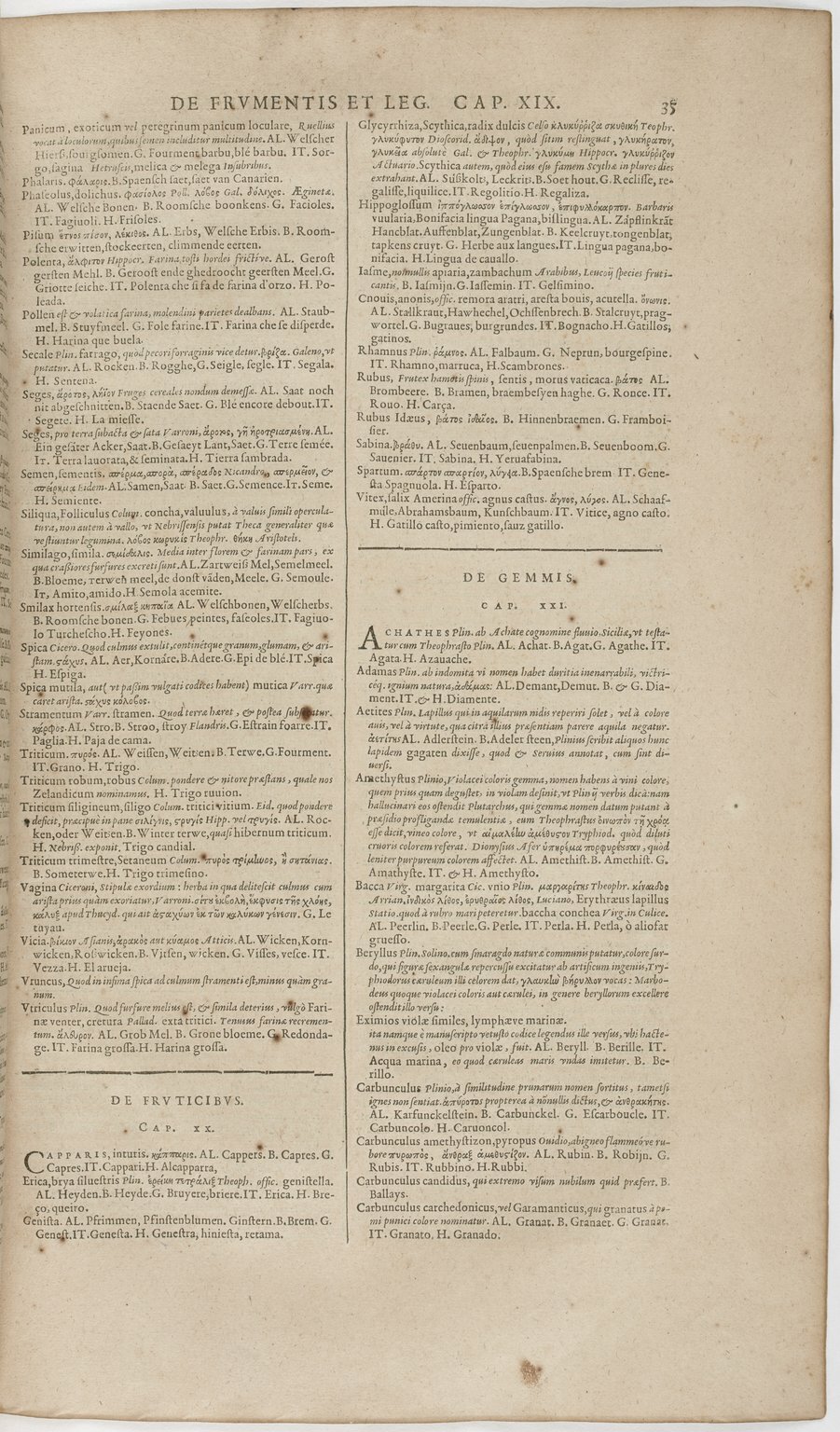 1606 - David Douceur - Trésor de la langue française - BnF